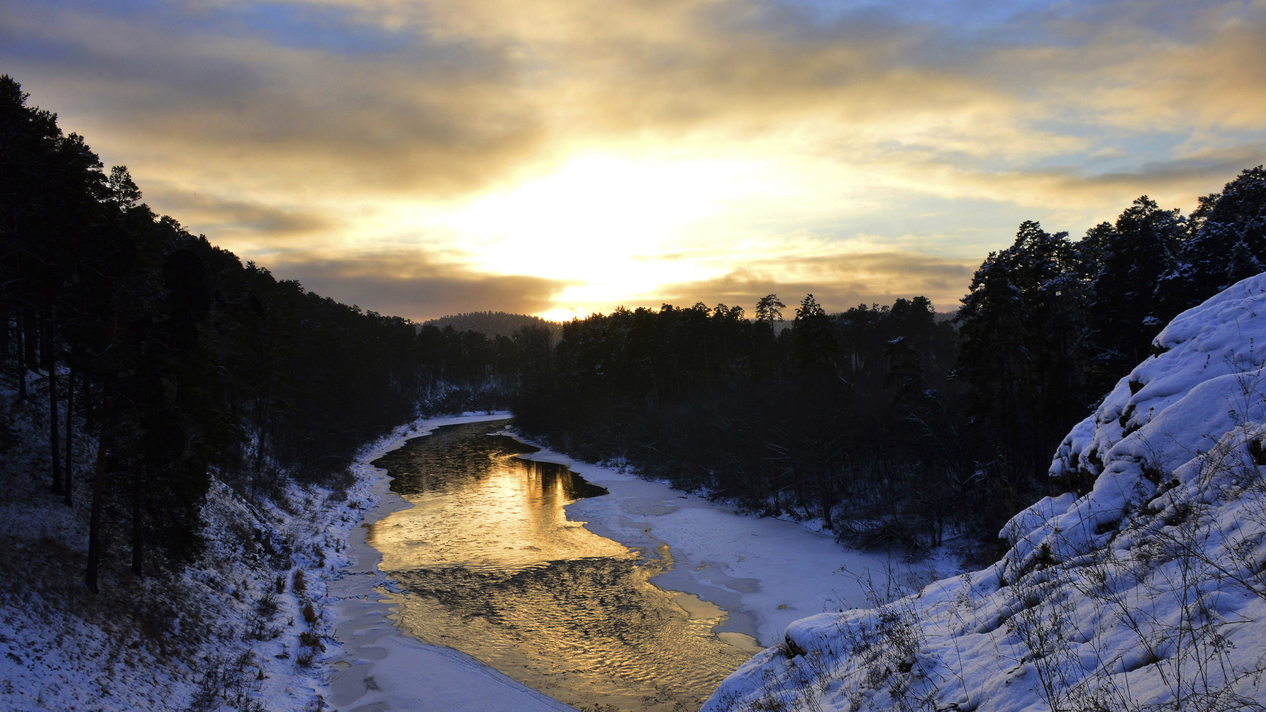 Campo Cubierto de Nieve y Árboles Durante el Día. Wallpaper in 2560x1440 Resolution