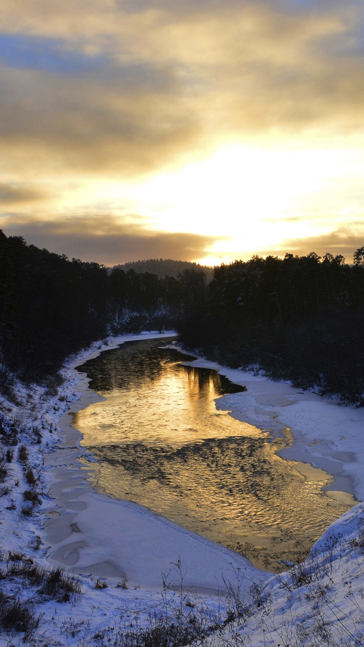 Snow Covered Field and Trees During Daytime. Wallpaper in 720x1280 Resolution