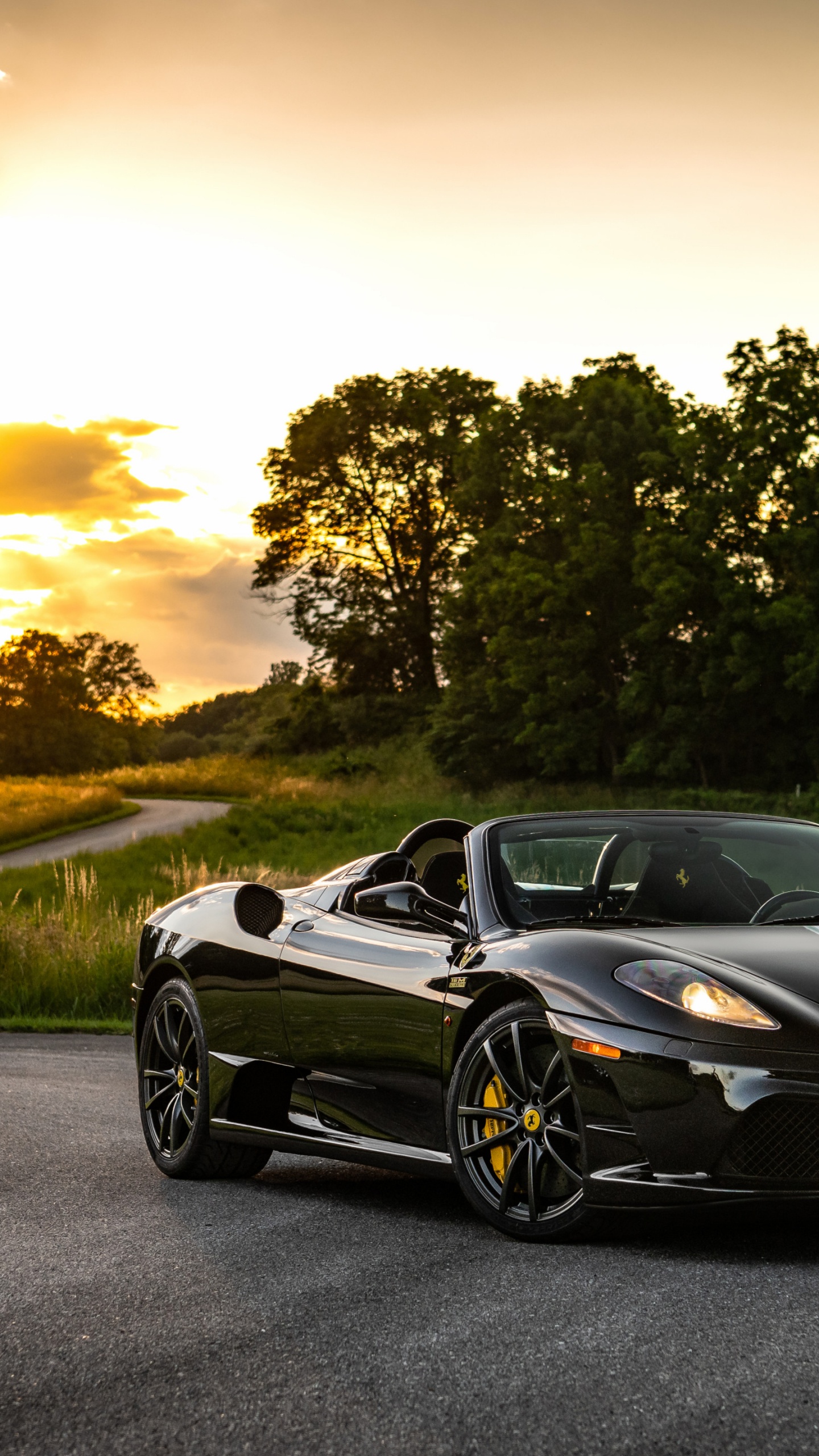 Ferrari F430, Ferrari 458, Cars, Ferrari 430 Scuderia, Enzo Ferrari. Wallpaper in 1440x2560 Resolution