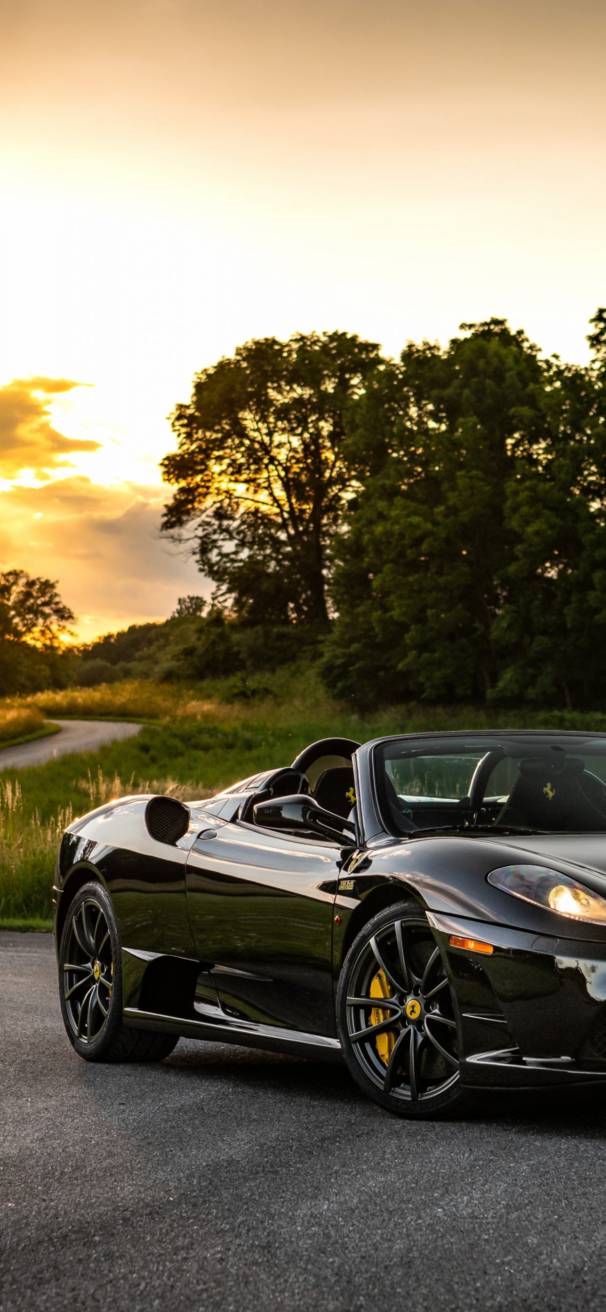 Ferrari F430, Ferrari 458, Ferrari 430 Scuderia, Enzo Ferrari, Ferrari F8. Wallpaper in 1242x2688 Resolution