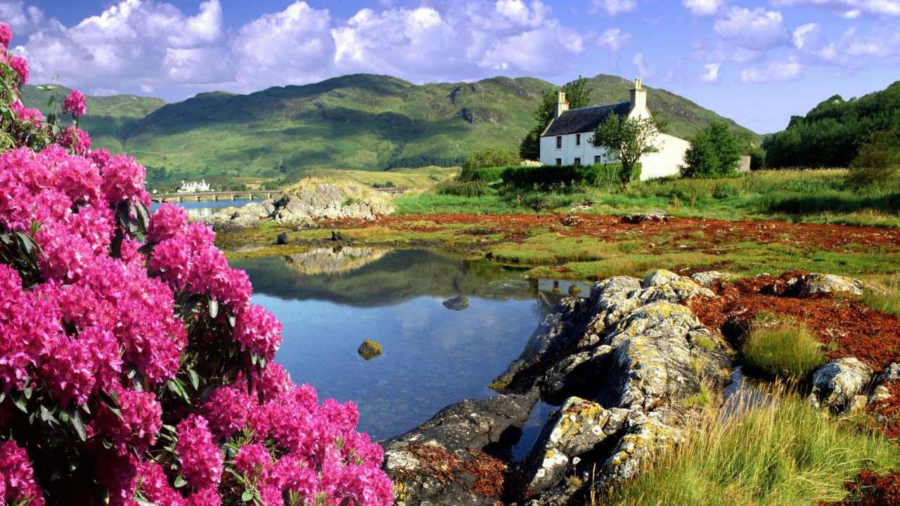 White and Brown House Near Lake. Wallpaper in 1280x720 Resolution