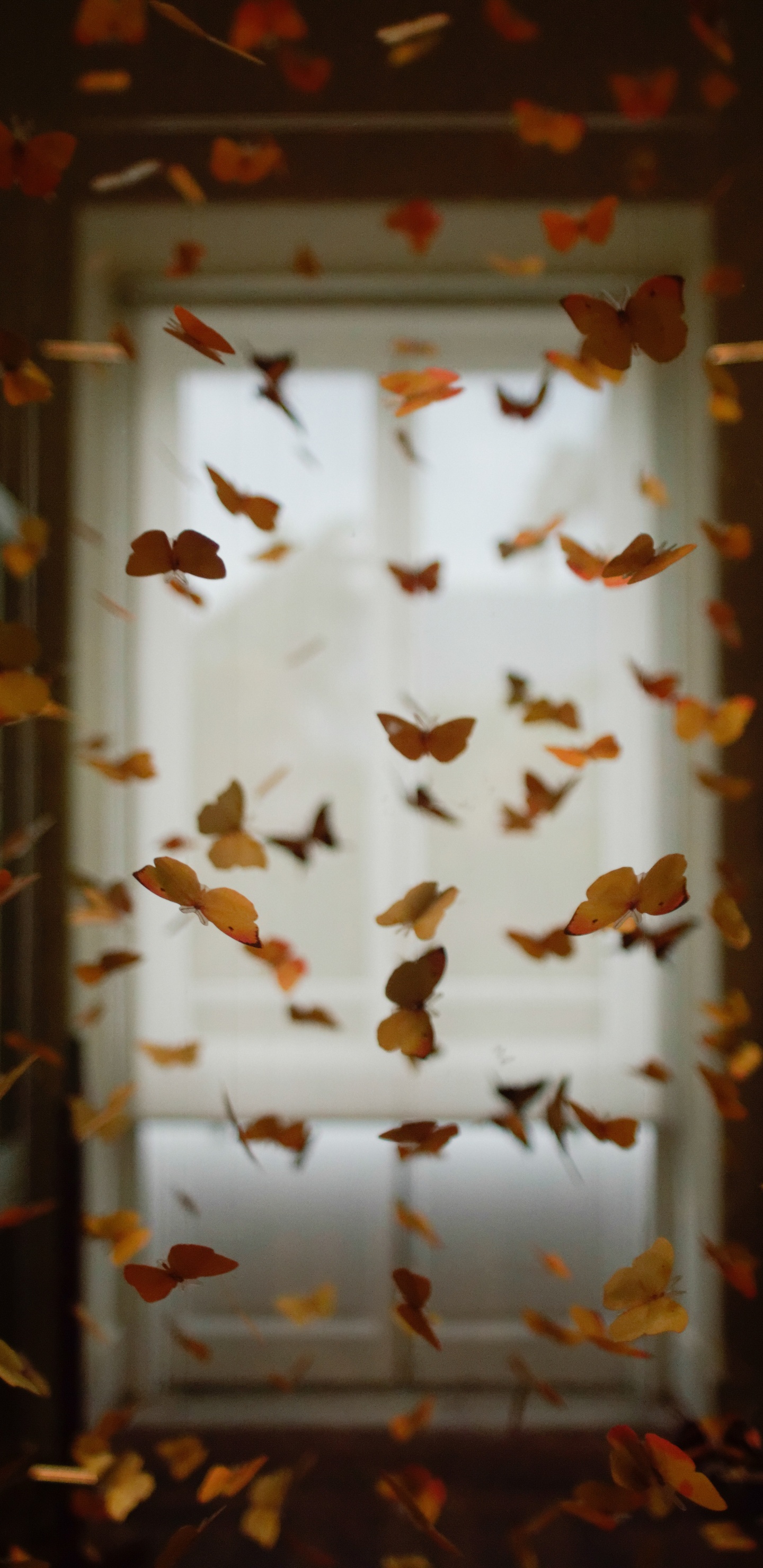 Mariposas Blancas y Marrones en Cortina de Ventana Blanca y Marrón. Wallpaper in 1440x2960 Resolution