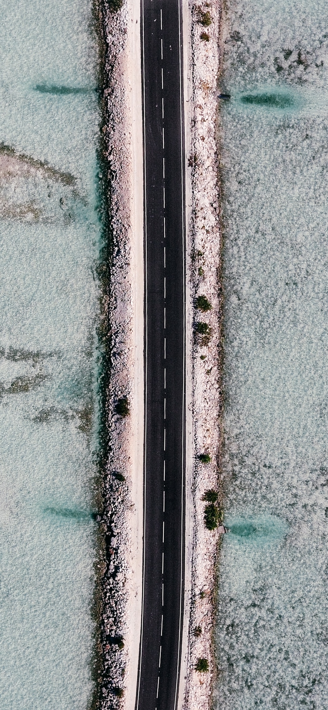 绿色的, 纹理, 沥青 壁纸 1125x2436 允许