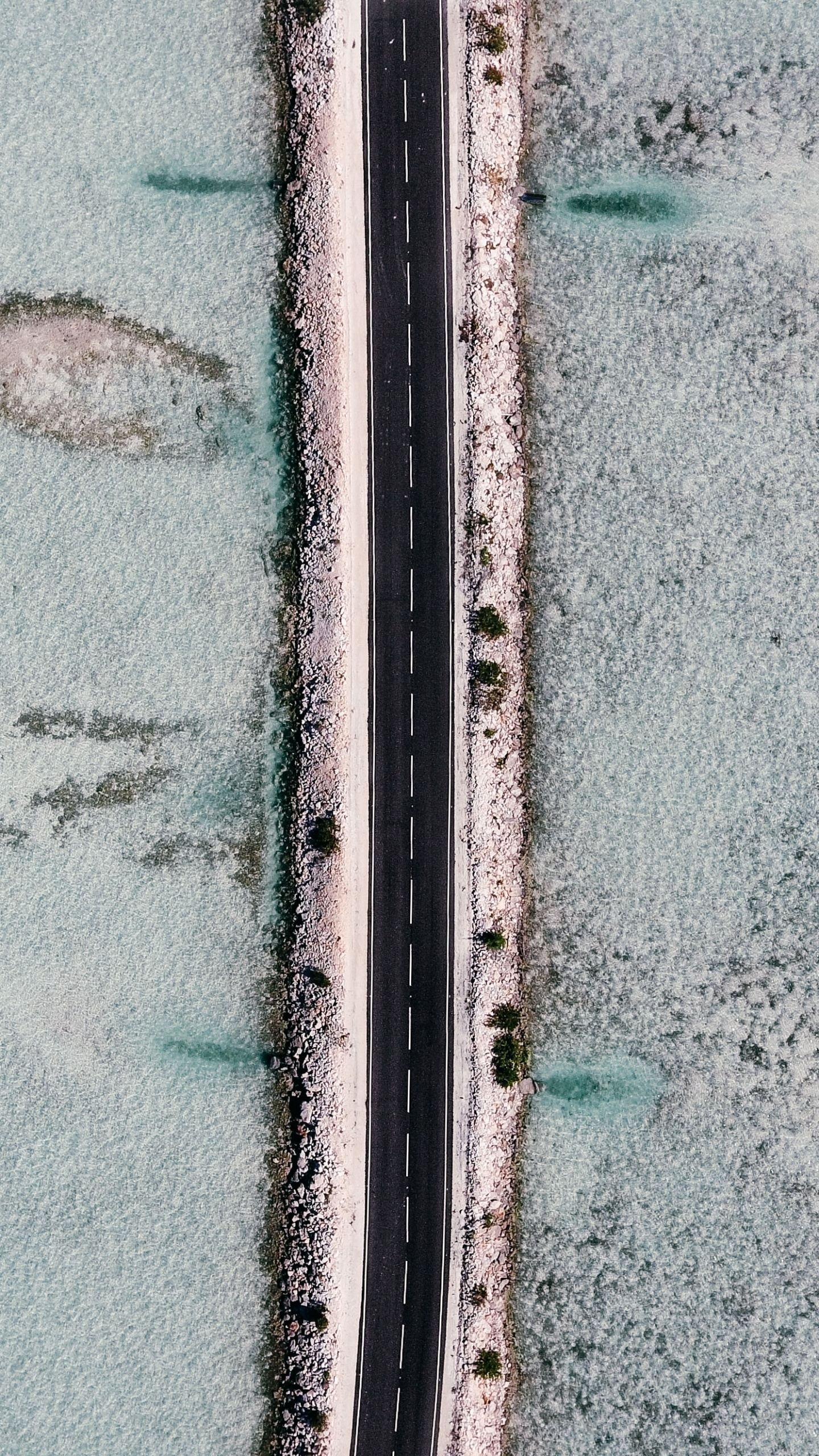 绿色的, 纹理, 沥青 壁纸 1440x2560 允许