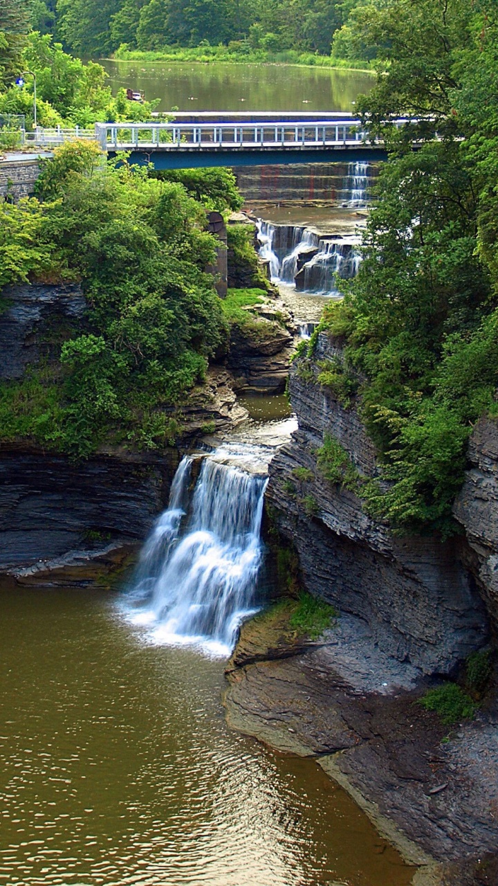 Cascades Près Des Arbres Verts Pendant la Journée. Wallpaper in 720x1280 Resolution