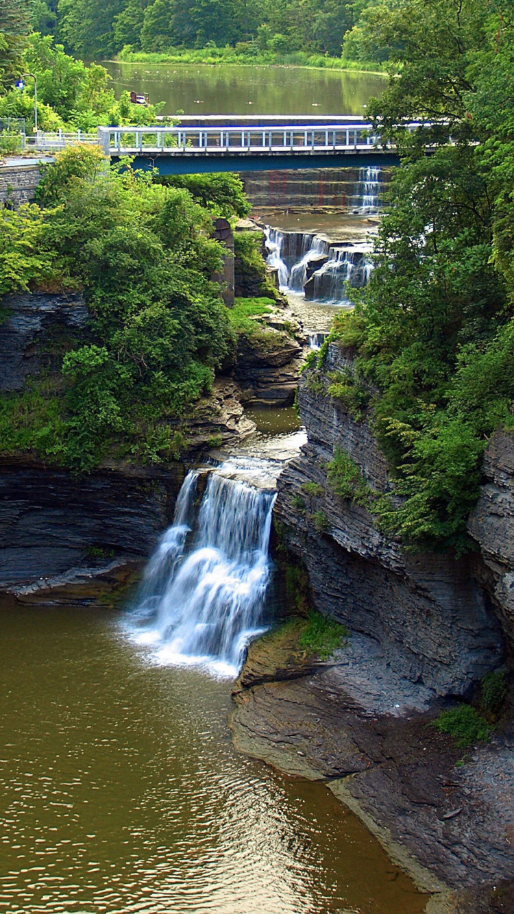Cascades Près Des Arbres Verts Pendant la Journée. Wallpaper in 750x1334 Resolution