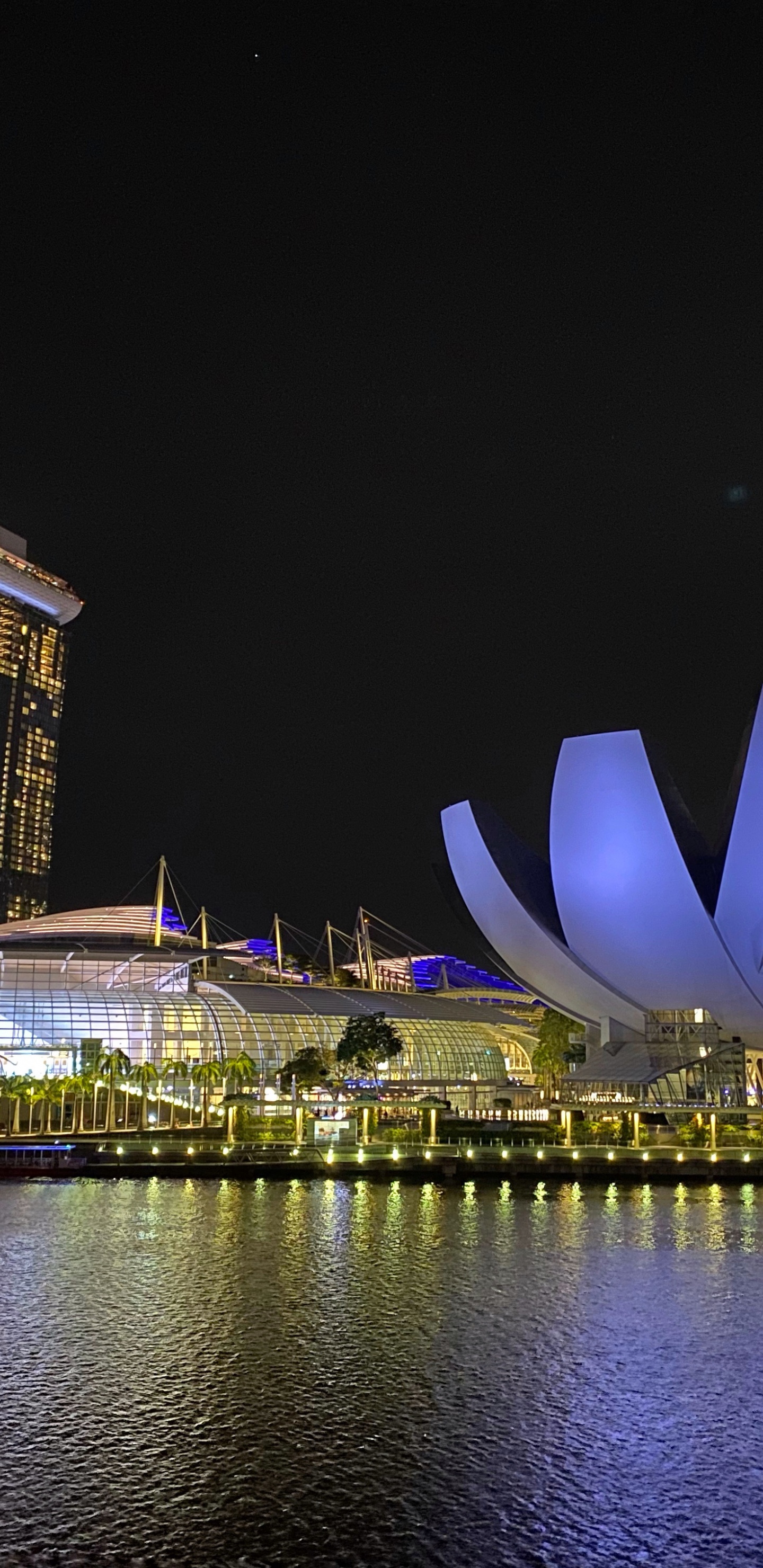 反射, 吴哥窟, 城市, 建筑, 大都会 壁纸 1440x2960 允许