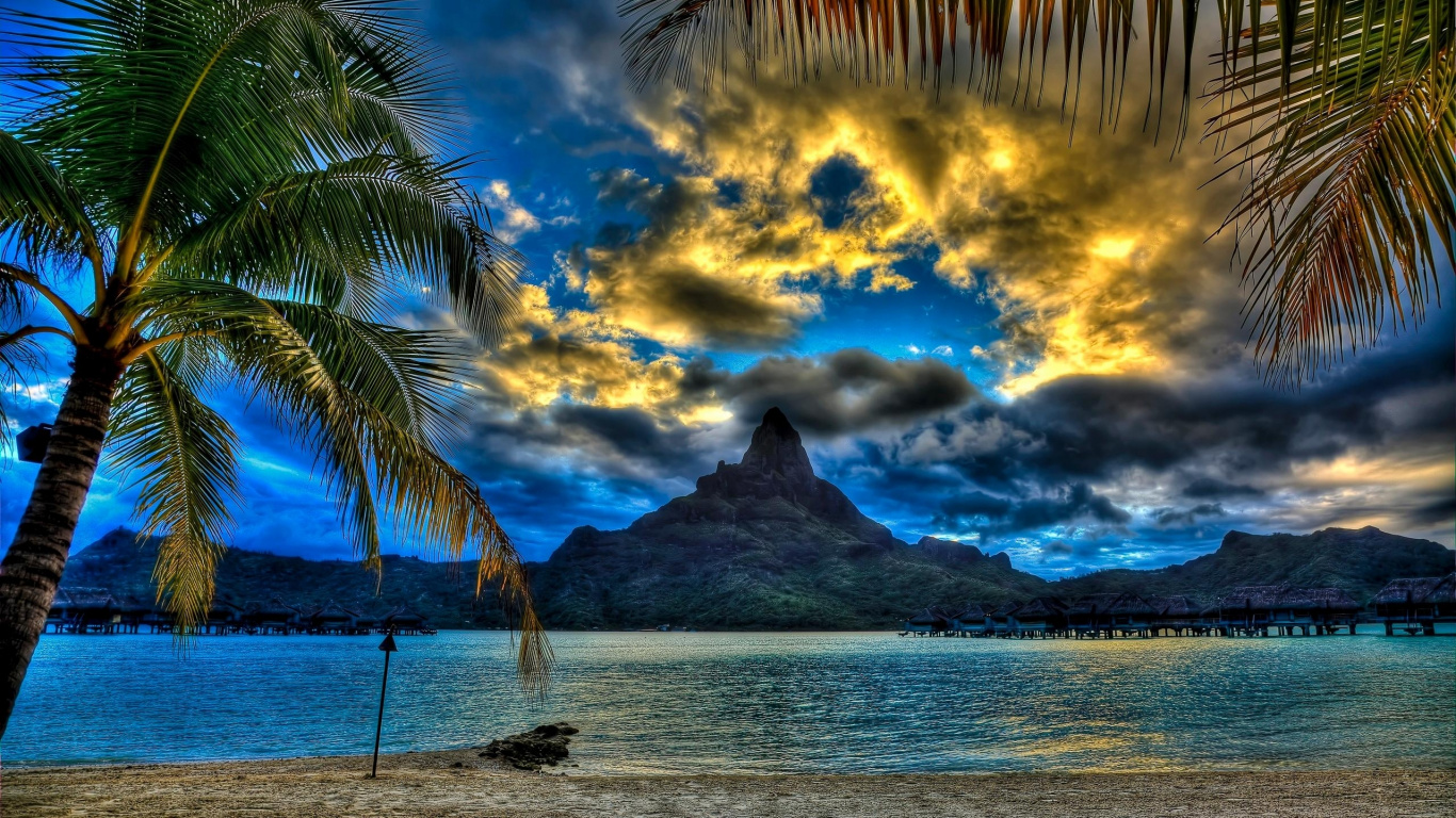 Coconut Tree Near Body of Water During Daytime. Wallpaper in 1366x768 Resolution