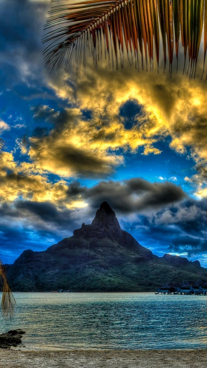Coconut Tree Near Body of Water During Daytime. Wallpaper in 720x1280 Resolution