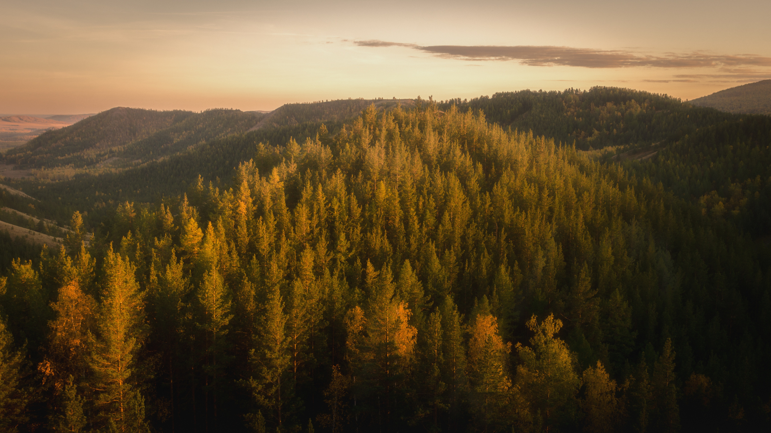 Forêt, Nature, Les Reliefs Montagneux, Environnement Naturel, Matin. Wallpaper in 2560x1440 Resolution