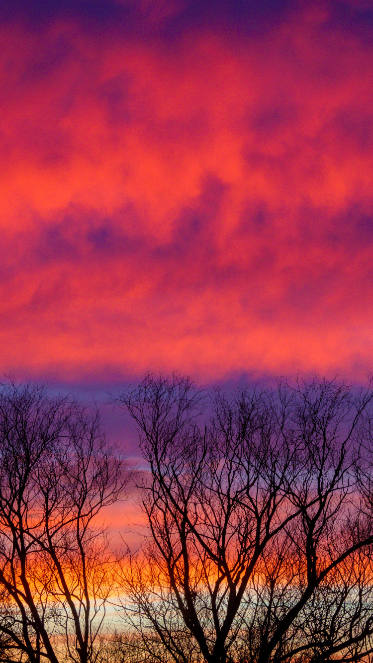 Cloud, Dämmerung, Baum, Sonnenaufgang, Atmosphäre. Wallpaper in 750x1334 Resolution