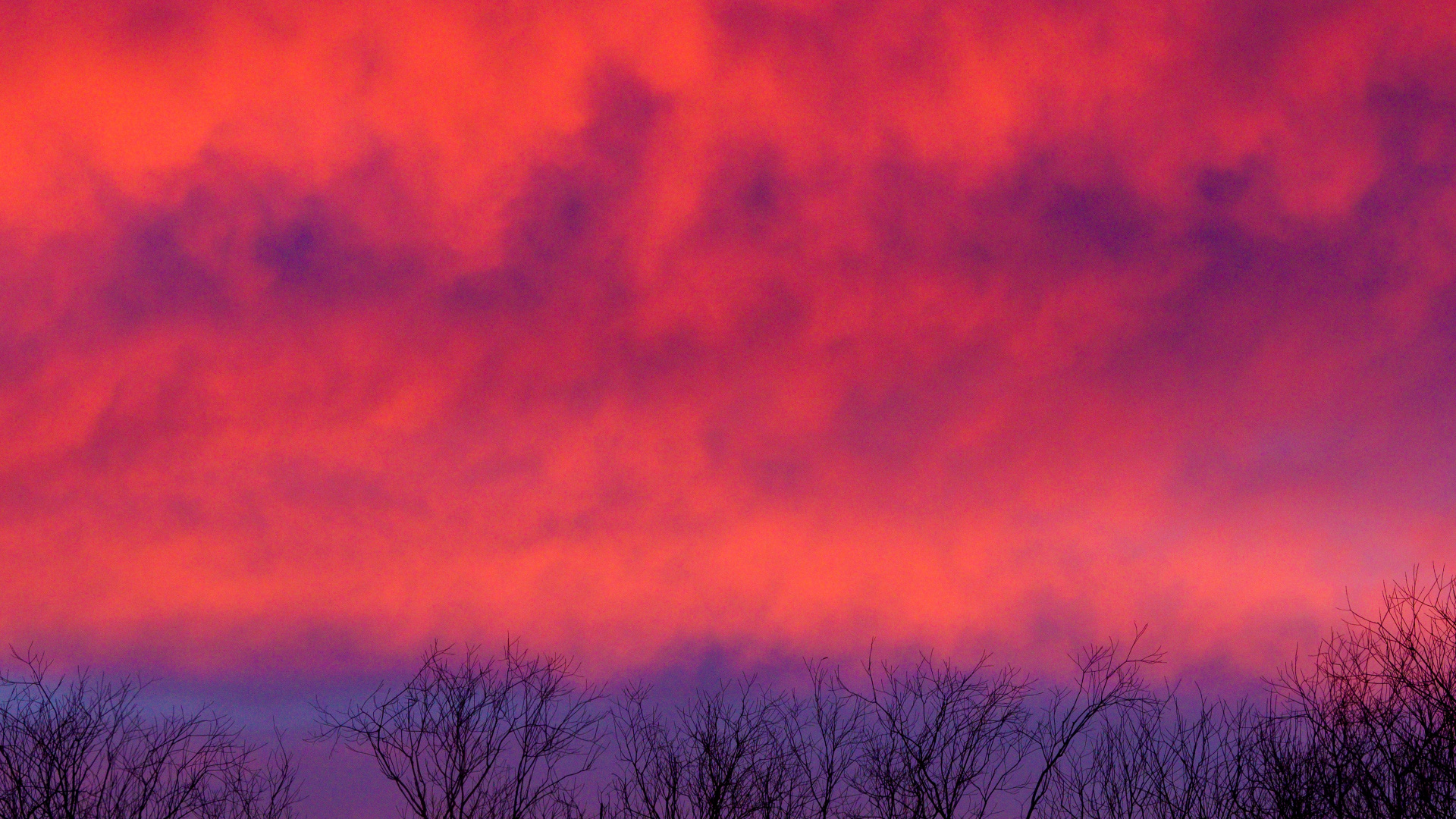 Cloud, Twilight, Tree, Sunrise, Atmosphere. Wallpaper in 1920x1080 Resolution