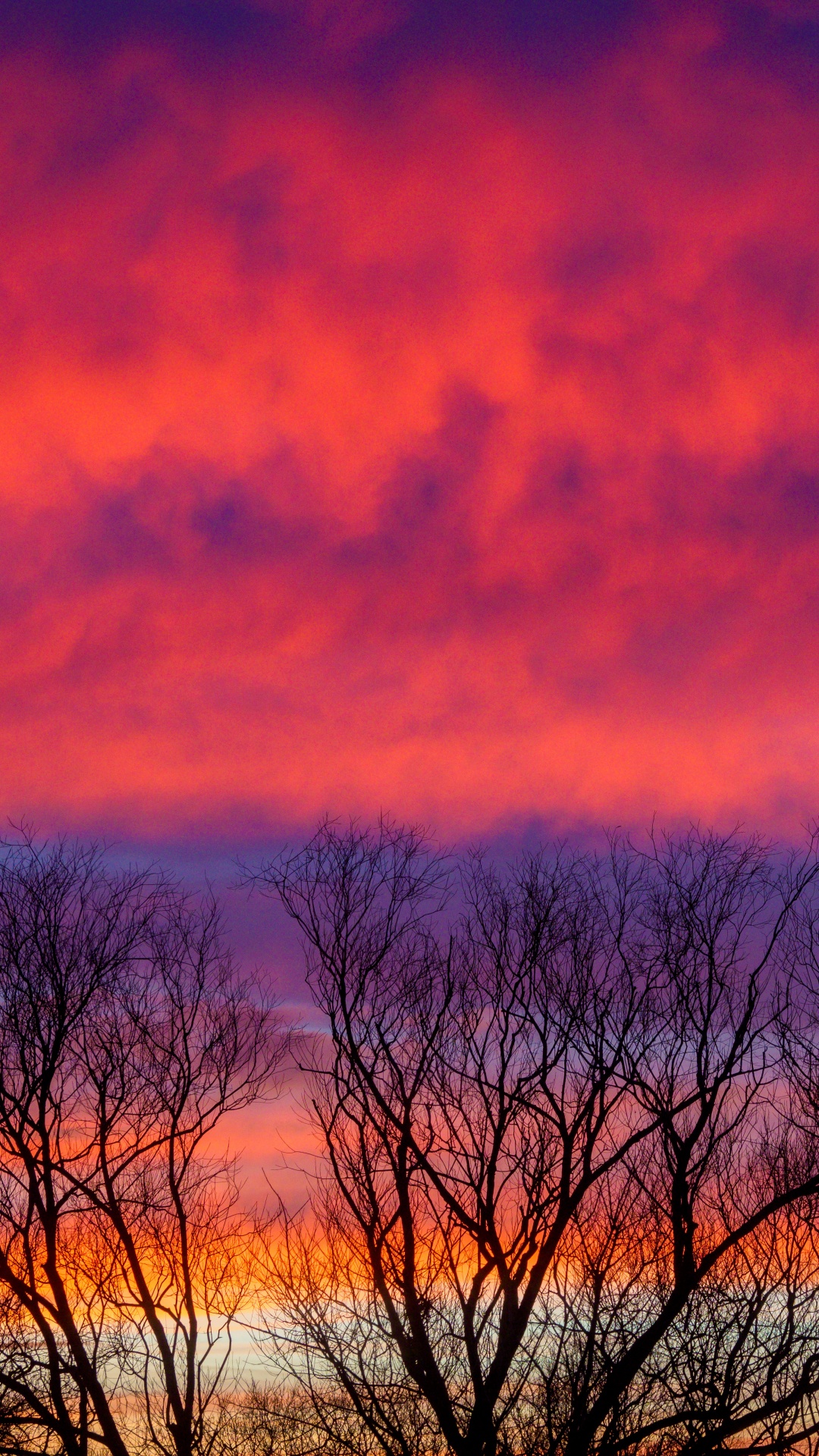 Ocaso, Ambiente, Ecorregión, Paisaje Natural, Naranja. Wallpaper in 1080x1920 Resolution