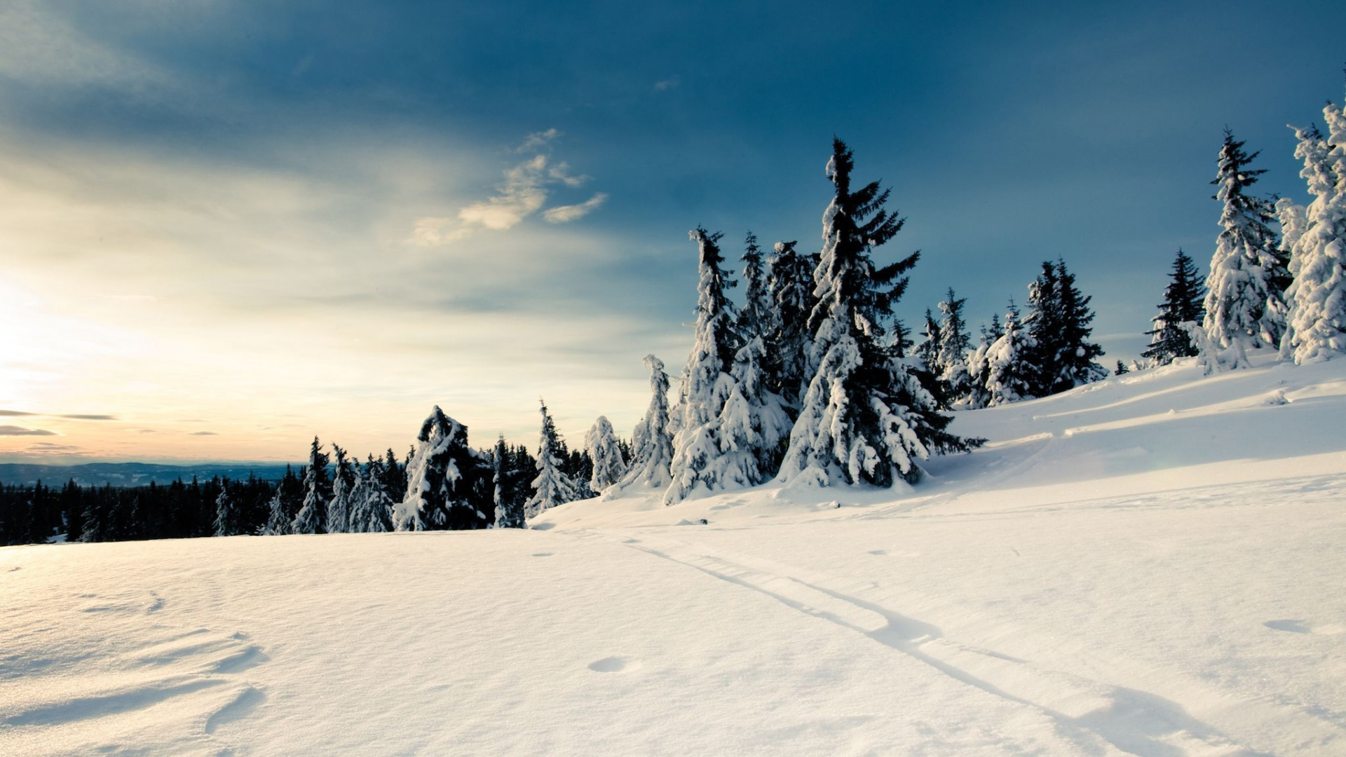 Kiefern Bedeckt Mit Schnee Unter Blauem Himmel Und Weißen Wolken Tagsüber. Wallpaper in 1920x1080 Resolution