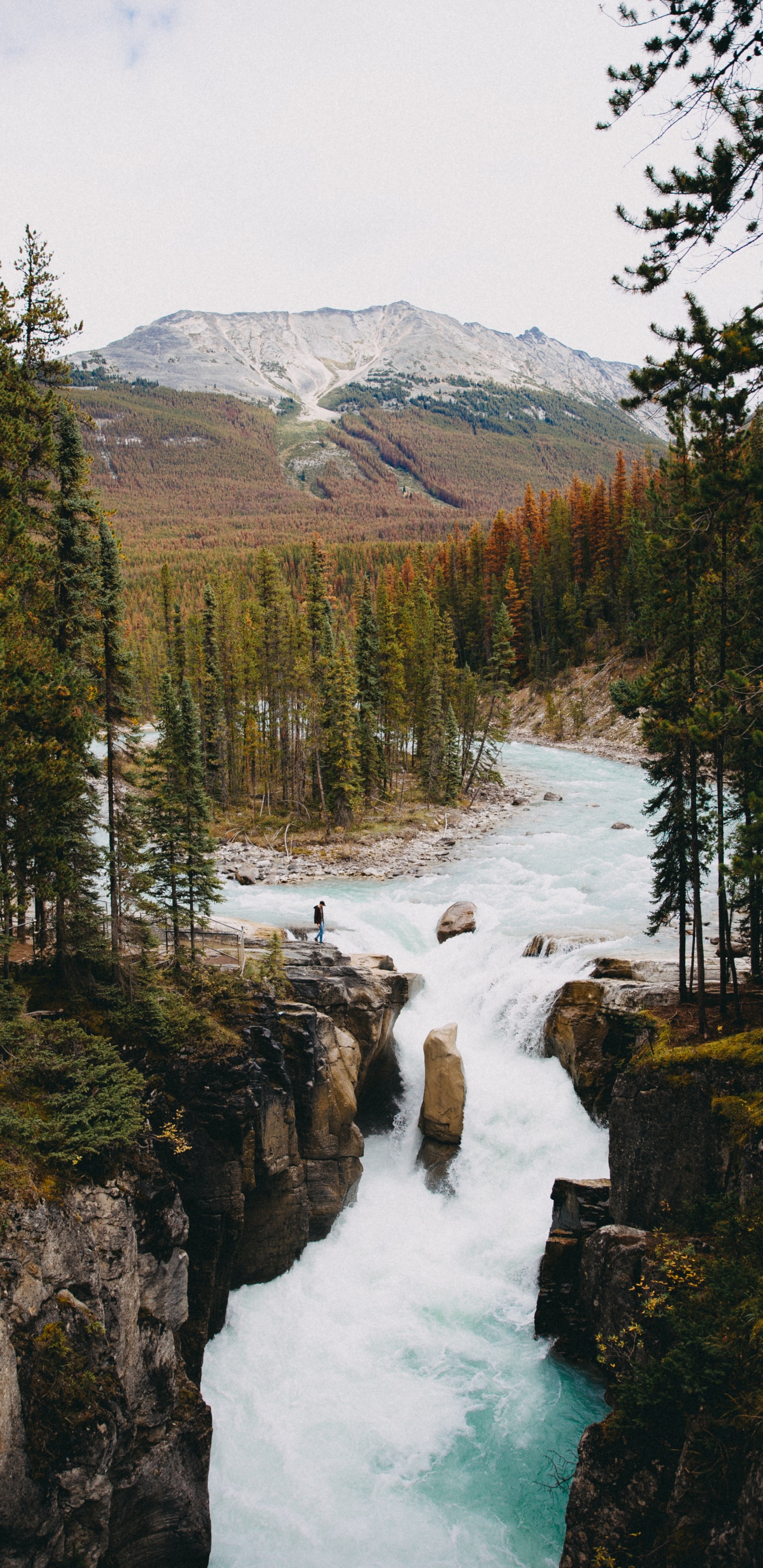 Natural Environment, Body of Water, Nature, Natural Landscape, Wilderness. Wallpaper in 1440x2960 Resolution