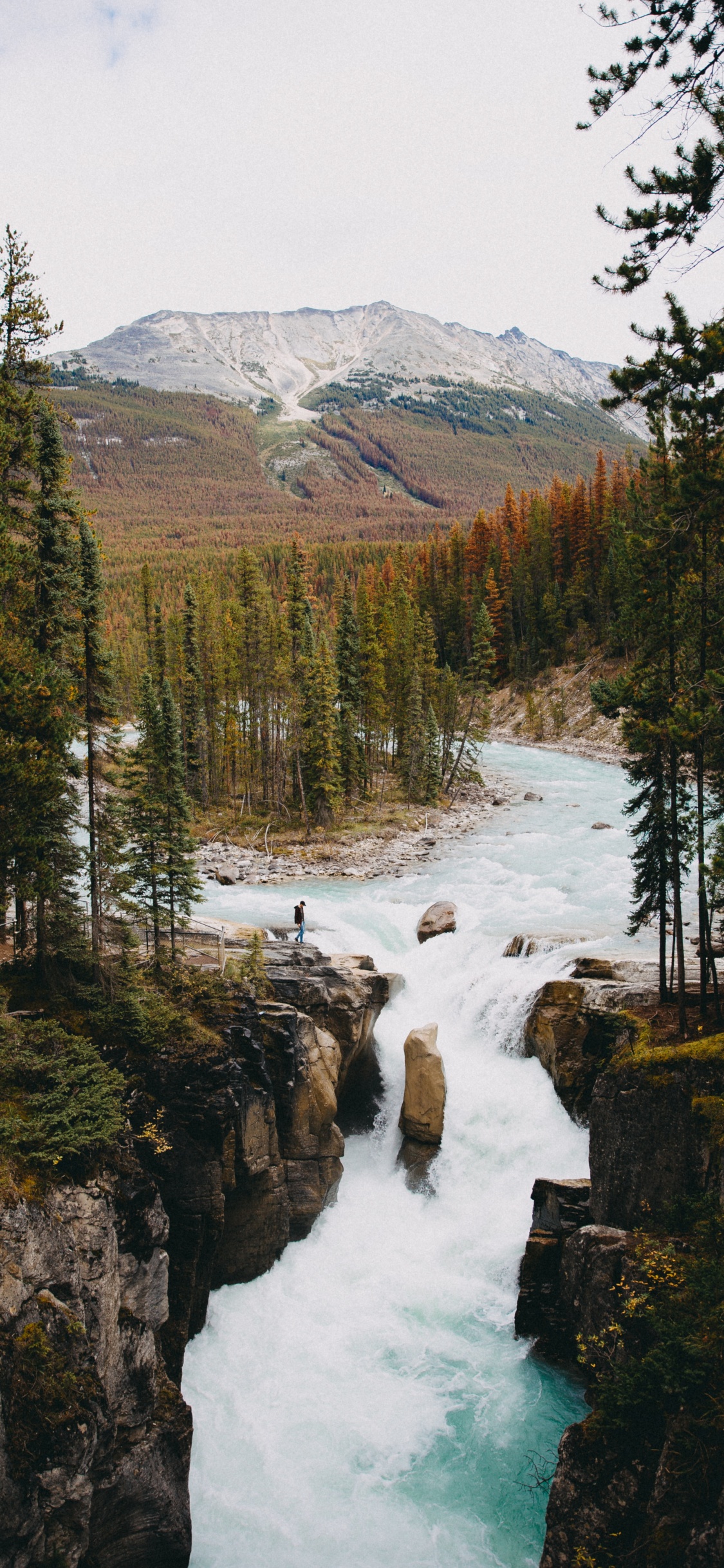Environnement Naturel, Corps de L'eau, Nature, Paysage Naturel, Rivière. Wallpaper in 1125x2436 Resolution