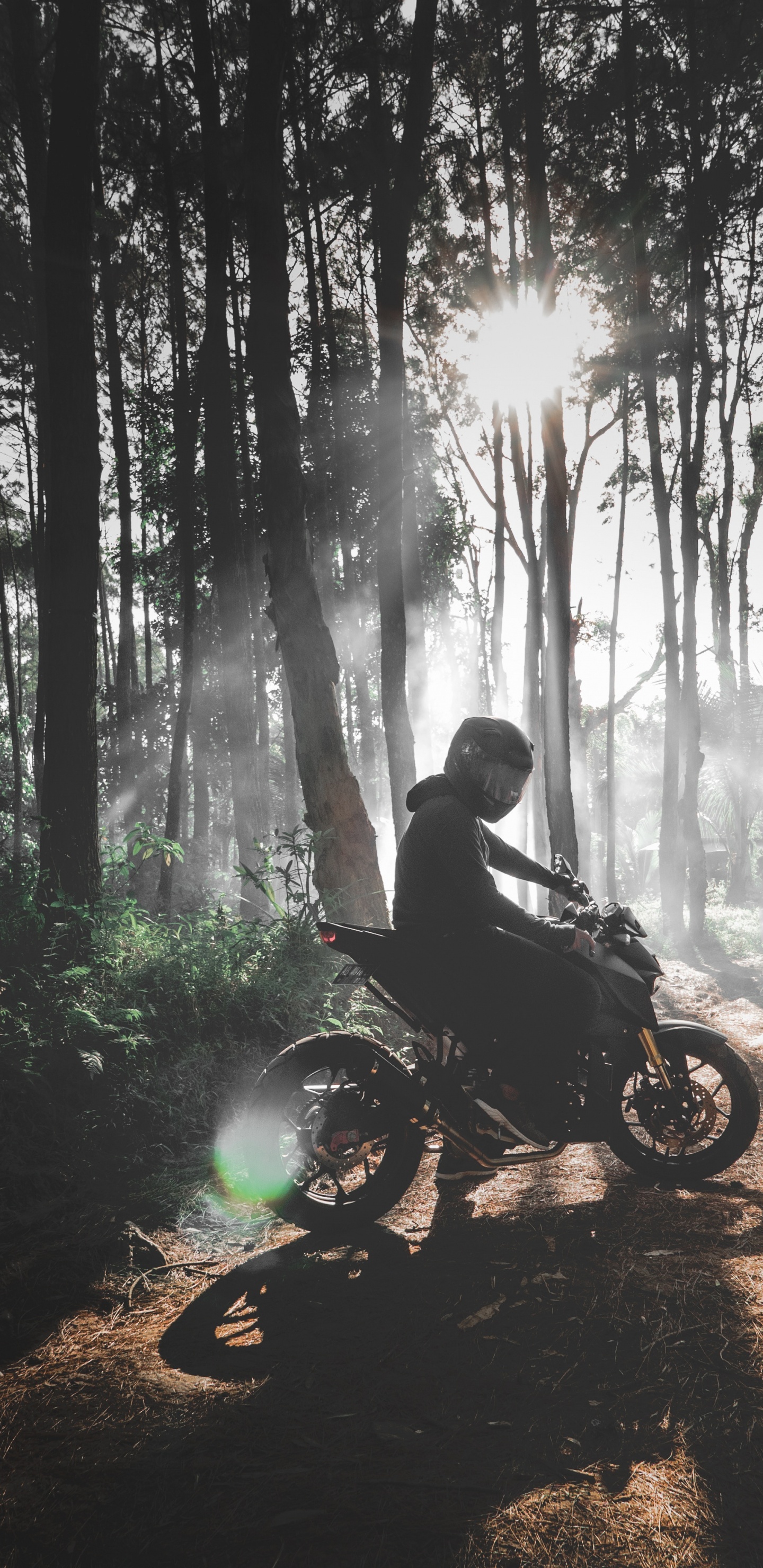 Man Riding Motorcycle in Forest During Daytime. Wallpaper in 1440x2960 Resolution