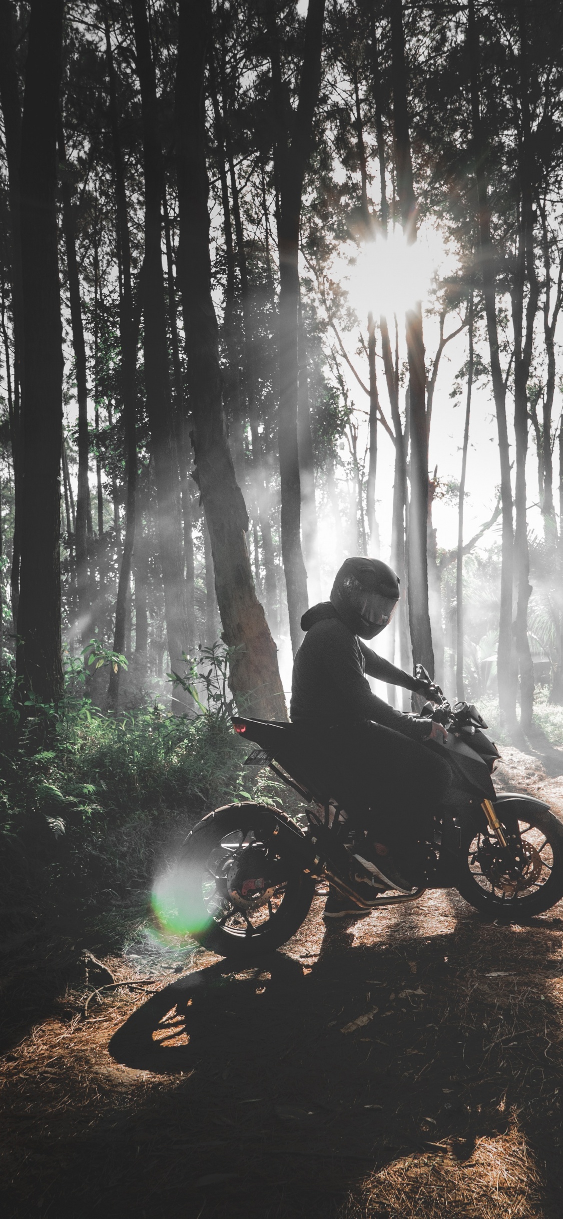 Man Riding Moto en Forêt Pendant la Journée. Wallpaper in 1125x2436 Resolution