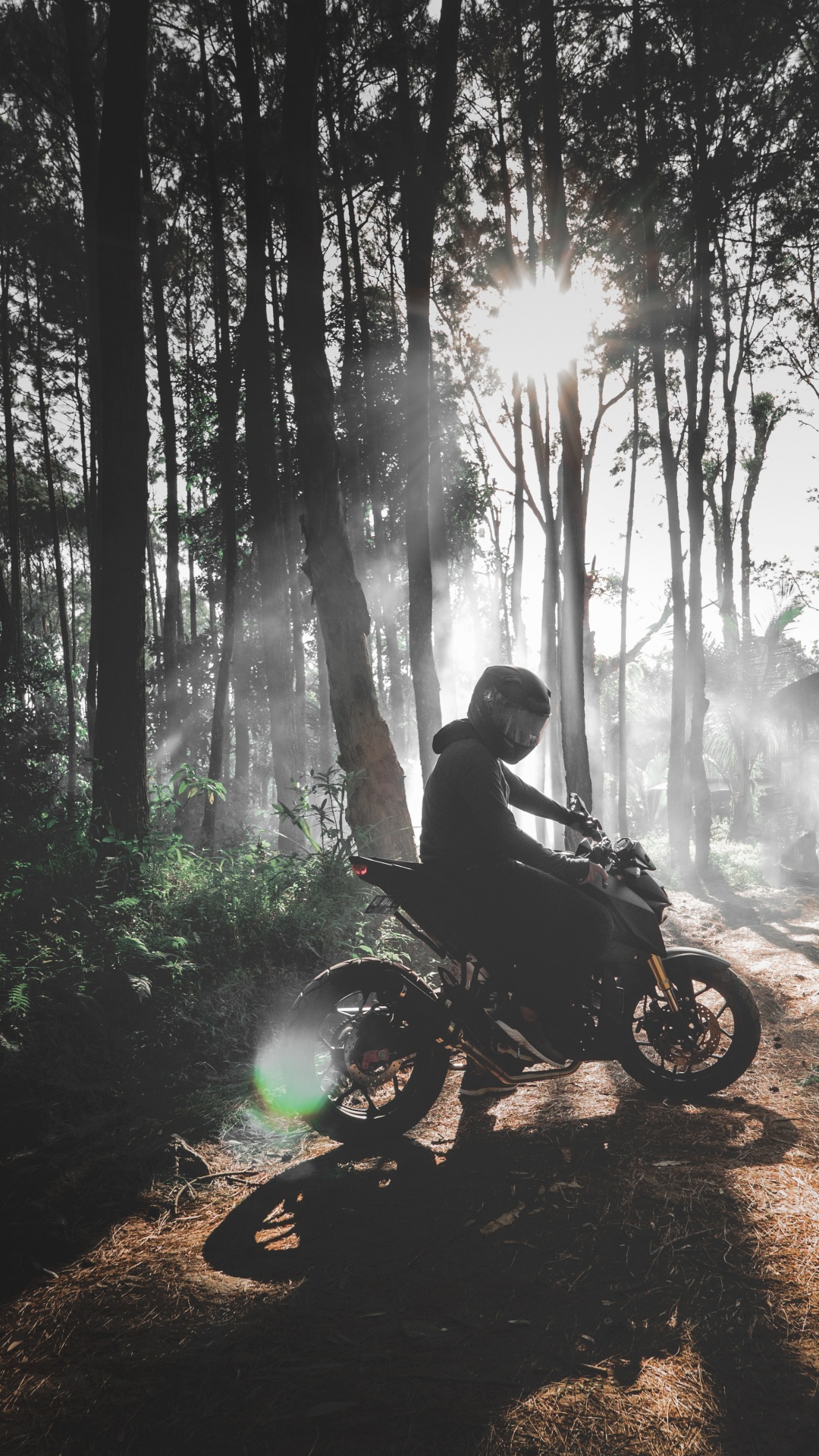 Hombre en Motocicleta en el Bosque Durante el Día. Wallpaper in 1080x1920 Resolution