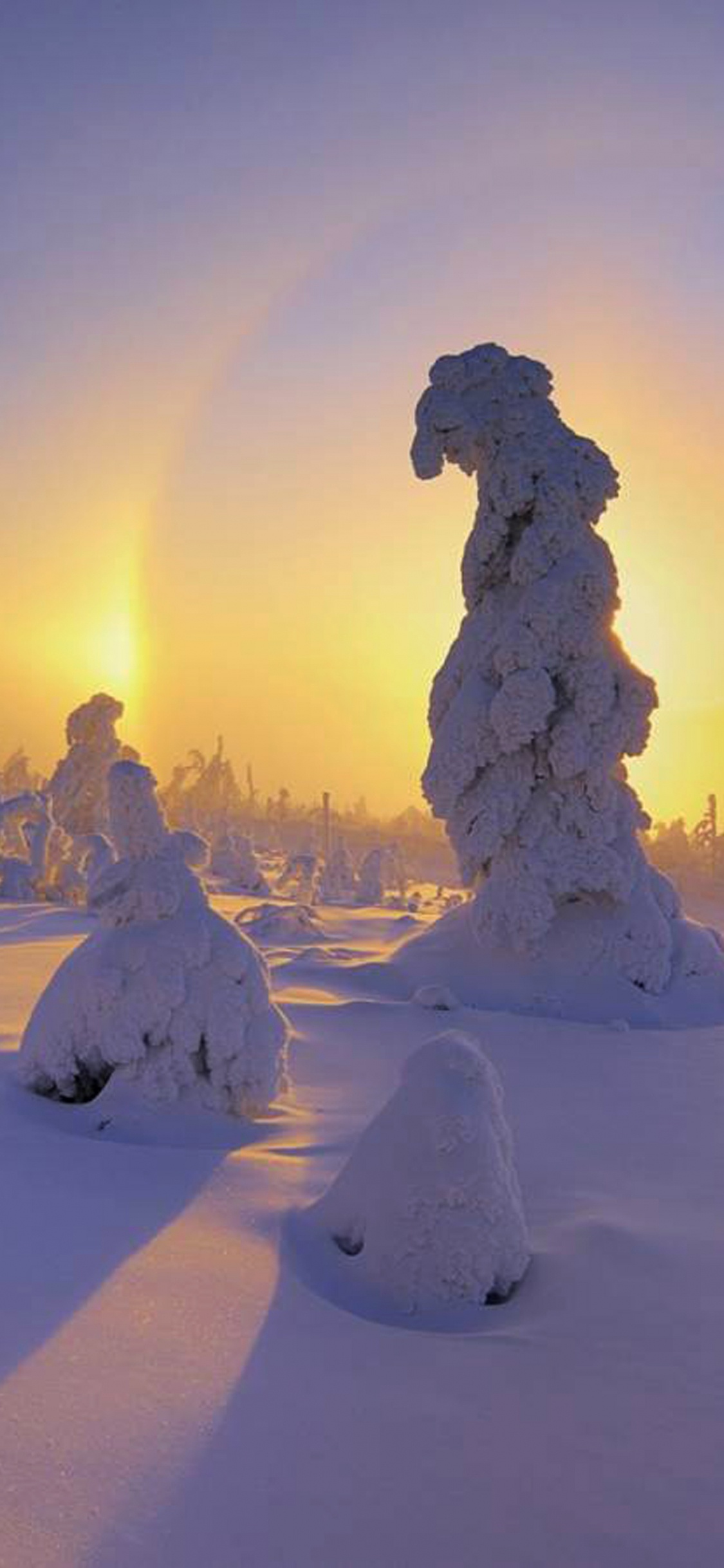 Champ Couvert de Neige Pendant la Journée. Wallpaper in 1125x2436 Resolution