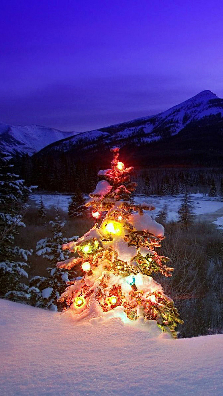 Fire on Snow Covered Ground Near Trees During Night Time. Wallpaper in 750x1334 Resolution