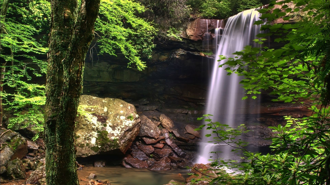 Cascades au Milieu de la Forêt. Wallpaper in 1366x768 Resolution