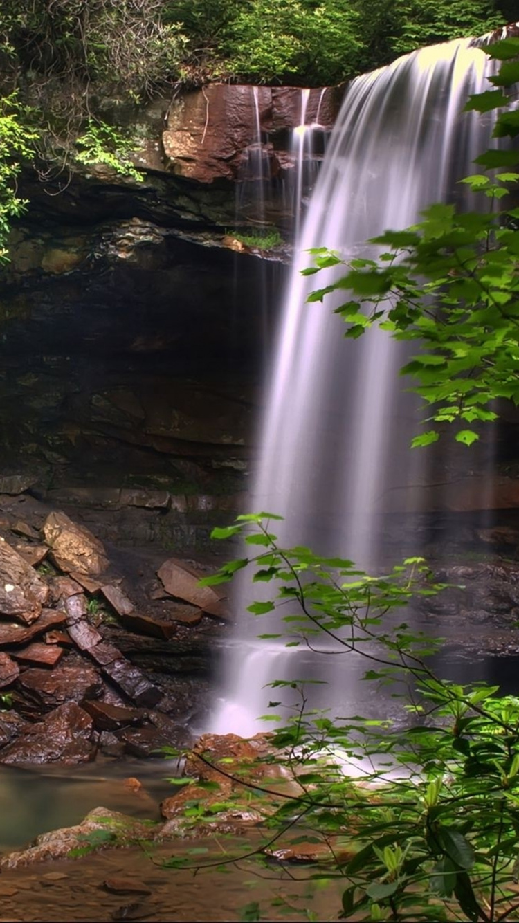 Cascades au Milieu de la Forêt. Wallpaper in 750x1334 Resolution