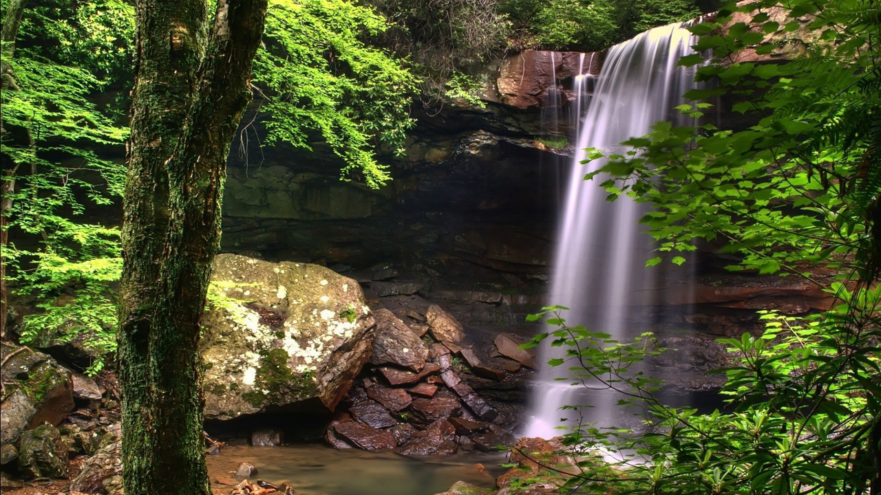 Wasserfälle Mitten im Wald. Wallpaper in 1280x720 Resolution