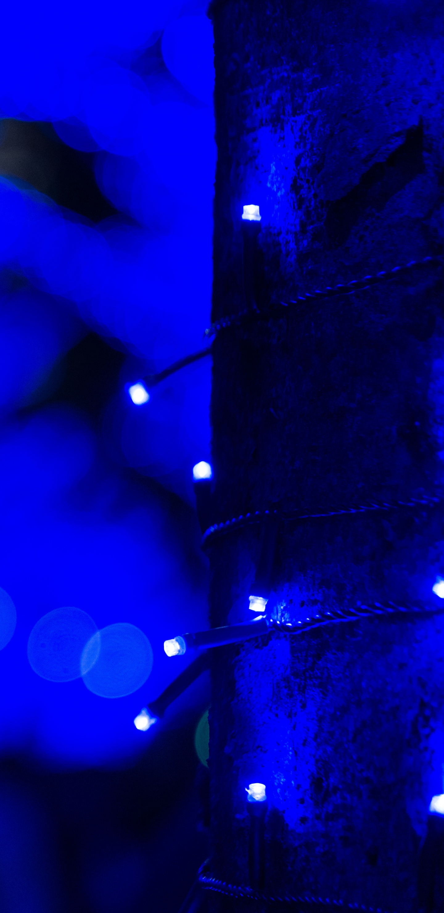 Blue and White Bokeh Lights. Wallpaper in 1440x2960 Resolution