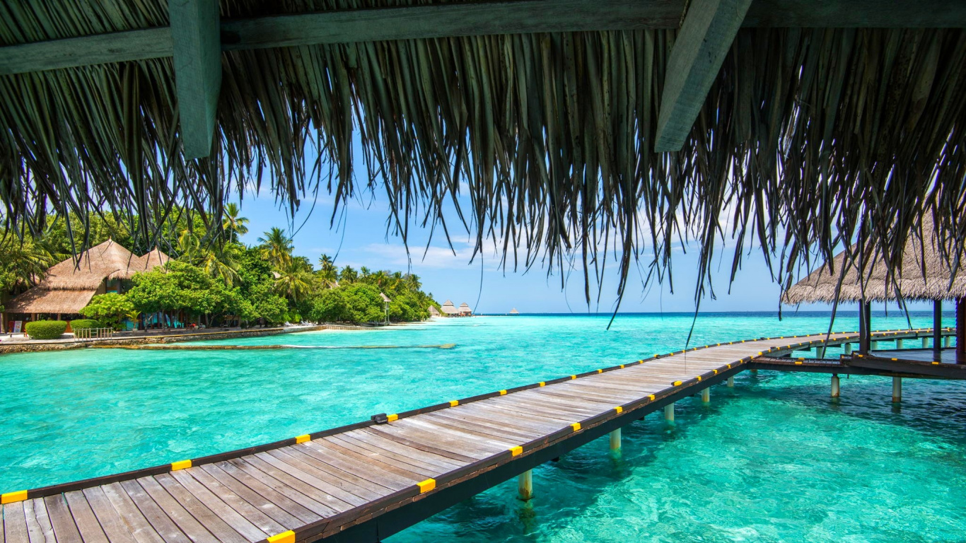 Brown Wooden Dock on Blue Body of Water During Daytime. Wallpaper in 1366x768 Resolution