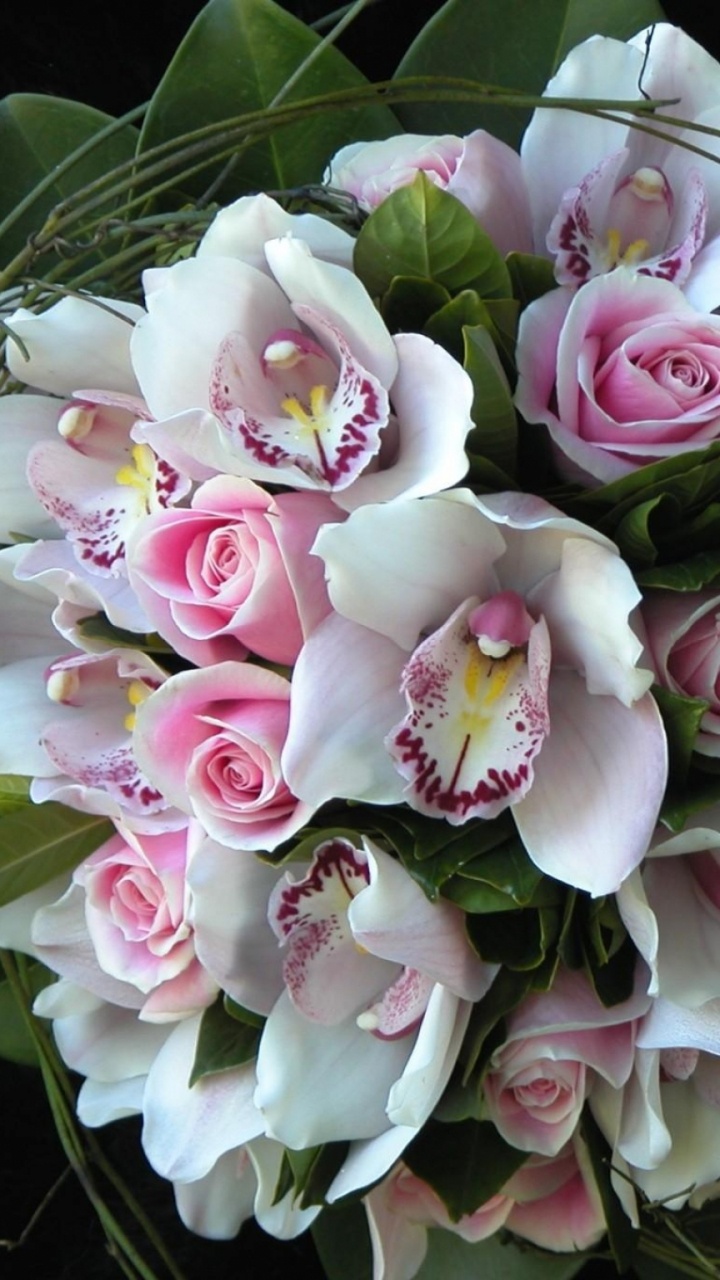 Pink and White Flowers on Black Textile. Wallpaper in 720x1280 Resolution