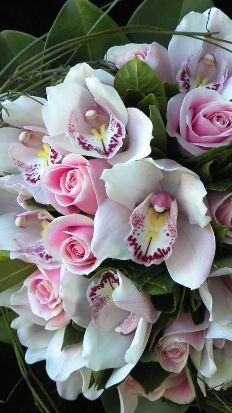 Pink and White Flowers on Black Textile. Wallpaper in 750x1334 Resolution