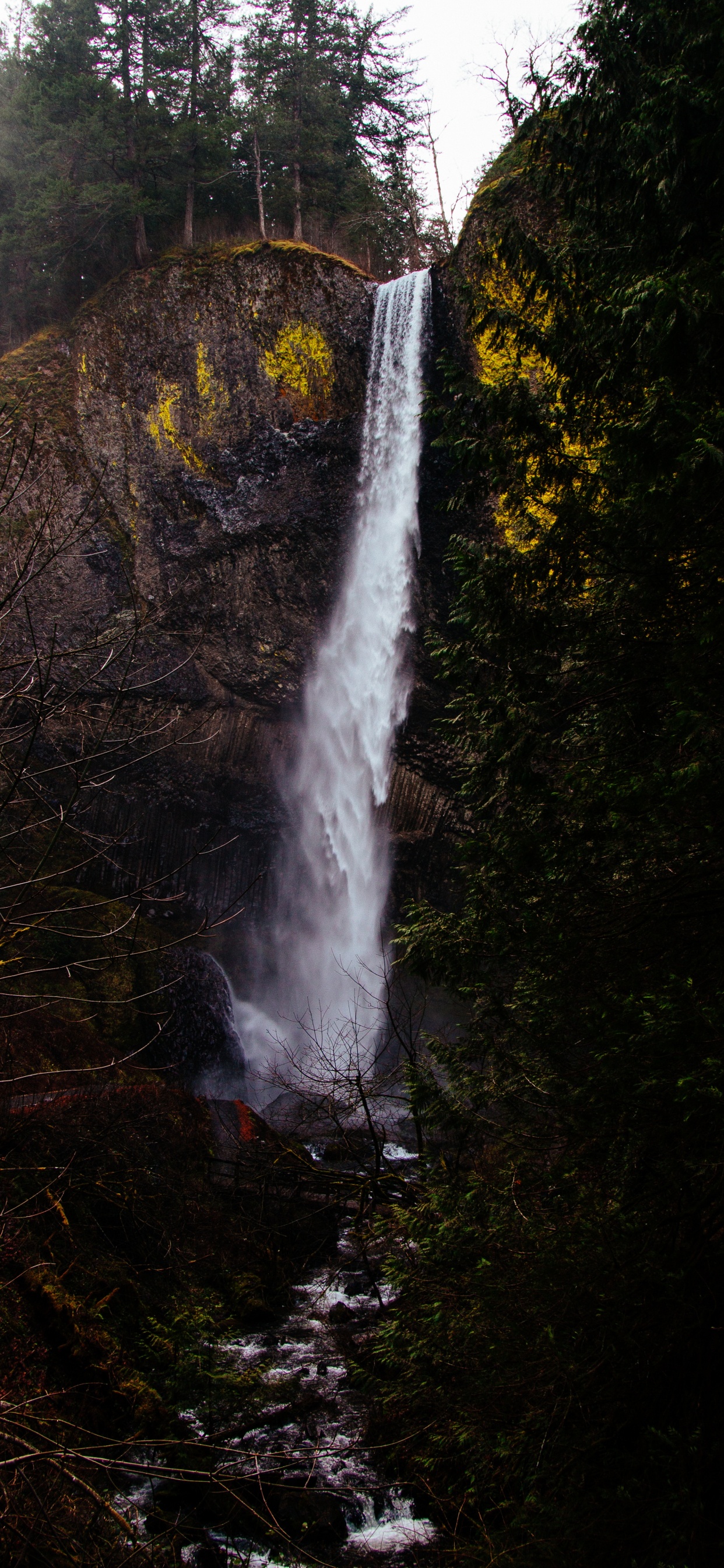 Cascada, Multnomah Falls, Curso de Agua, Cuerpo de Agua, Agua. Wallpaper in 1242x2688 Resolution