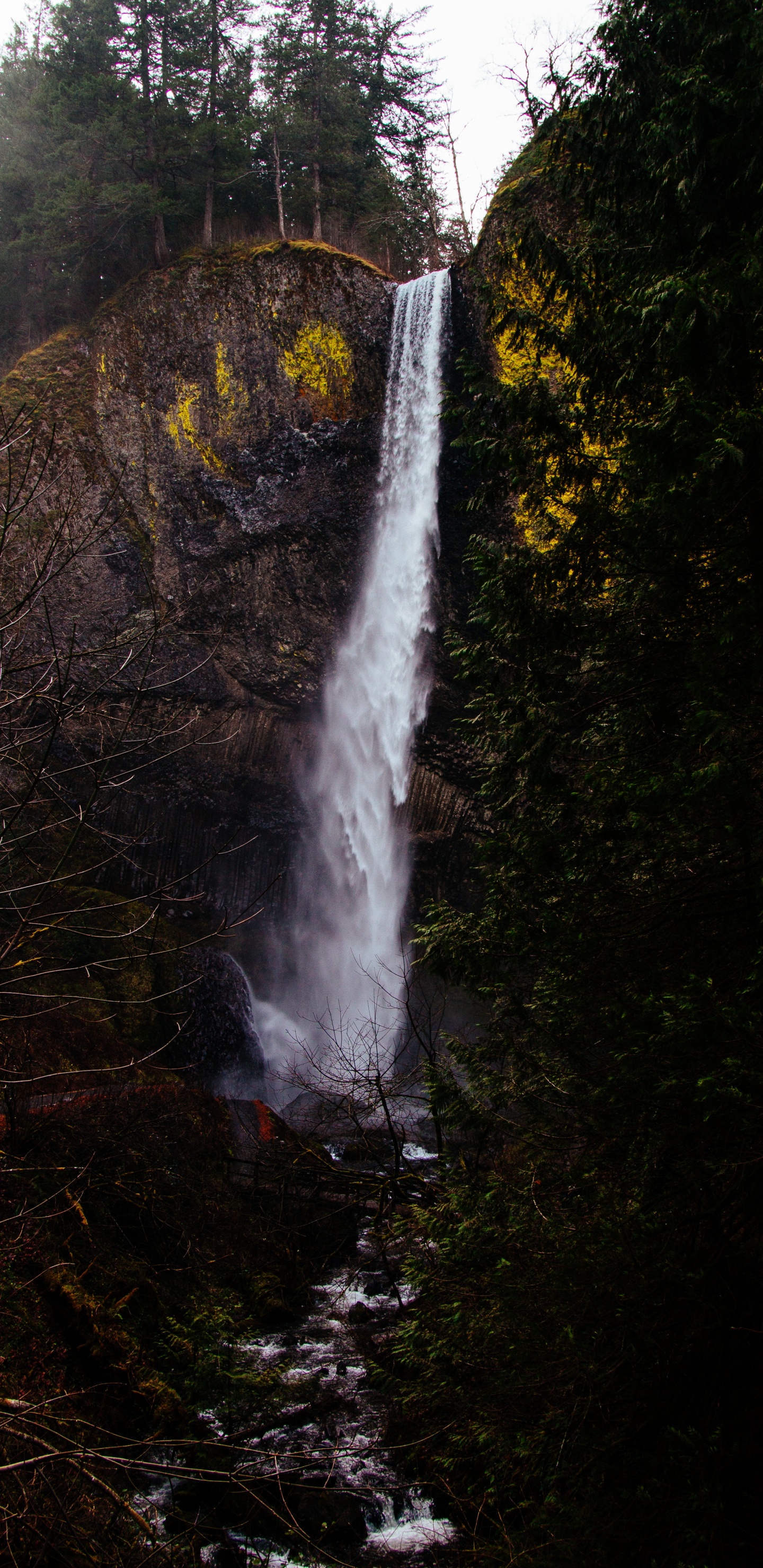 Cascada, Multnomah Falls, Curso de Agua, Cuerpo de Agua, Agua. Wallpaper in 1440x2960 Resolution