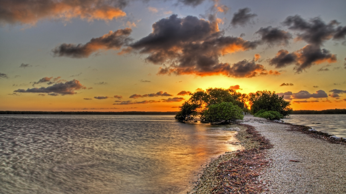 Green Trees Near Body of Water During Sunset. Wallpaper in 1366x768 Resolution
