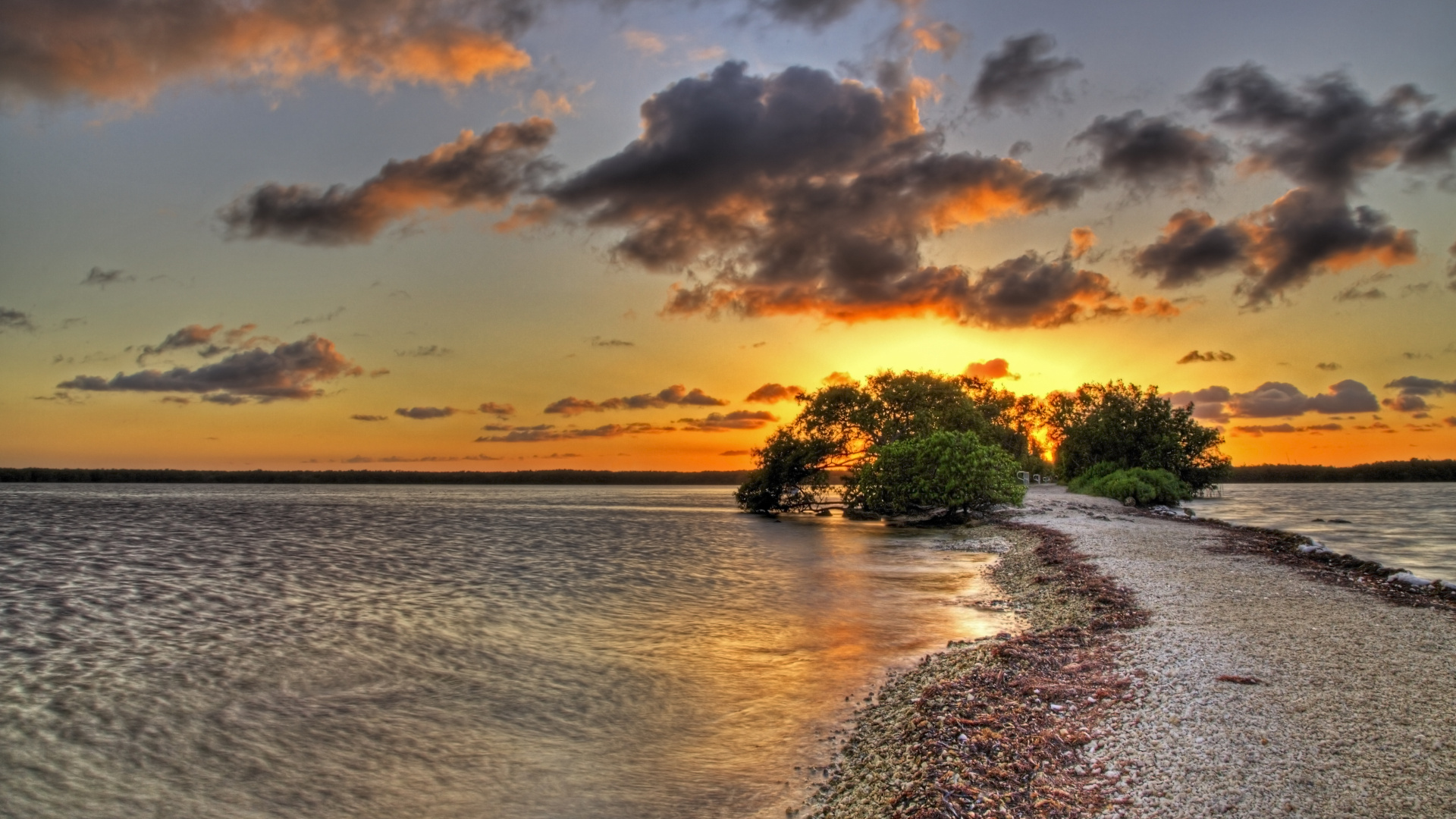 Green Trees Near Body of Water During Sunset. Wallpaper in 1920x1080 Resolution