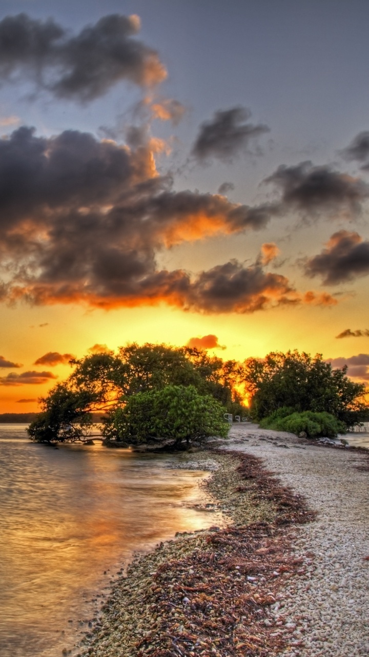 Green Trees Near Body of Water During Sunset. Wallpaper in 720x1280 Resolution