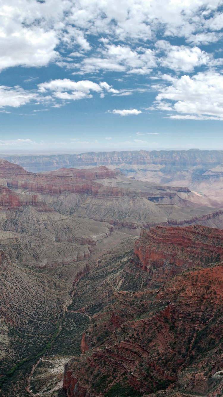 科罗拉多河, 峡谷, 荒地, 形成, 荒野 壁纸 750x1334 允许