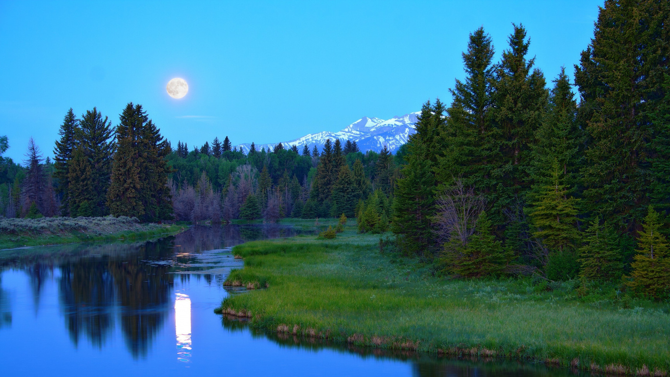 Campo de Hierba Verde Cerca Del Lago Durante el Día. Wallpaper in 1366x768 Resolution
