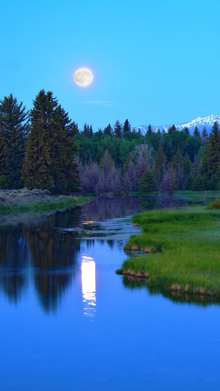 Tagsüber Grüne Wiese in Der Nähe Des Sees. Wallpaper in 750x1334 Resolution