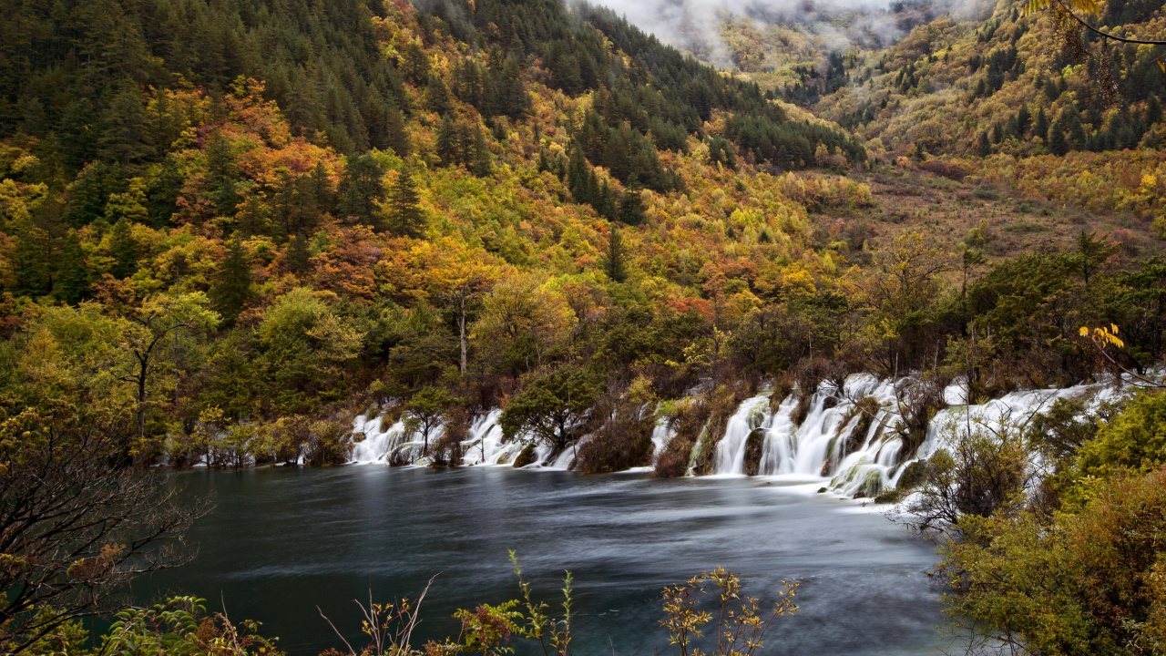 Green and Brown Trees Near River. Wallpaper in 1280x720 Resolution