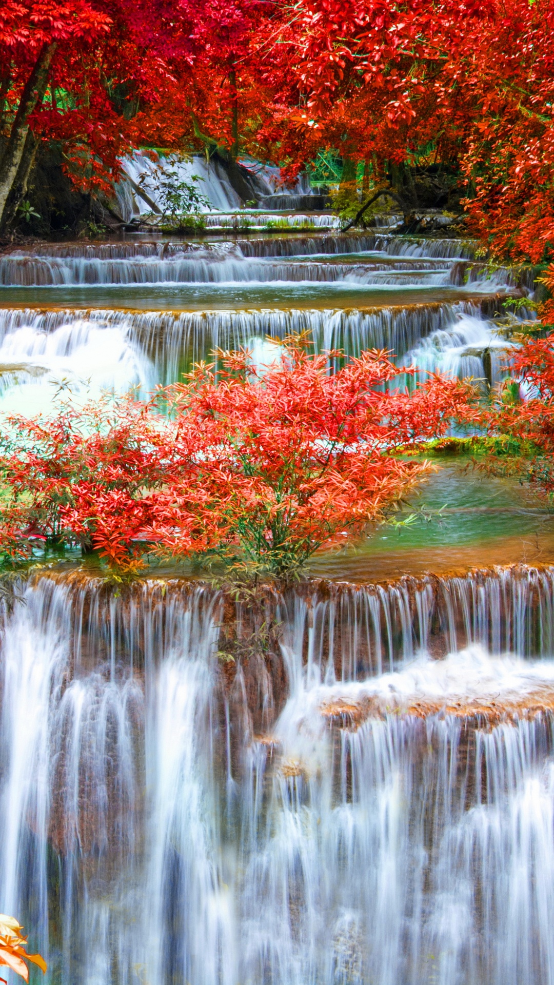 L'eau Tombe au Milieu Des Arbres. Wallpaper in 1080x1920 Resolution