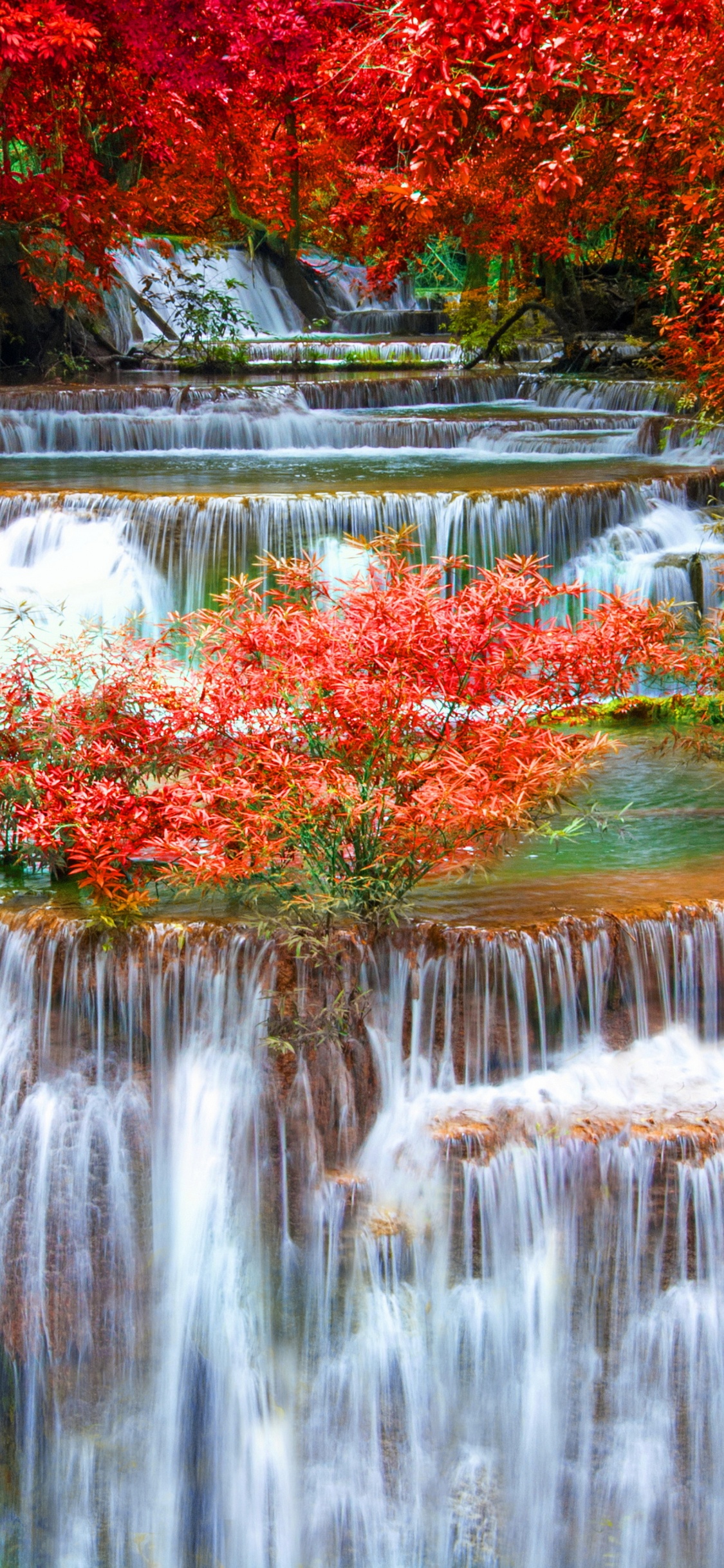 Water Falls in The Middle of Trees. Wallpaper in 1125x2436 Resolution
