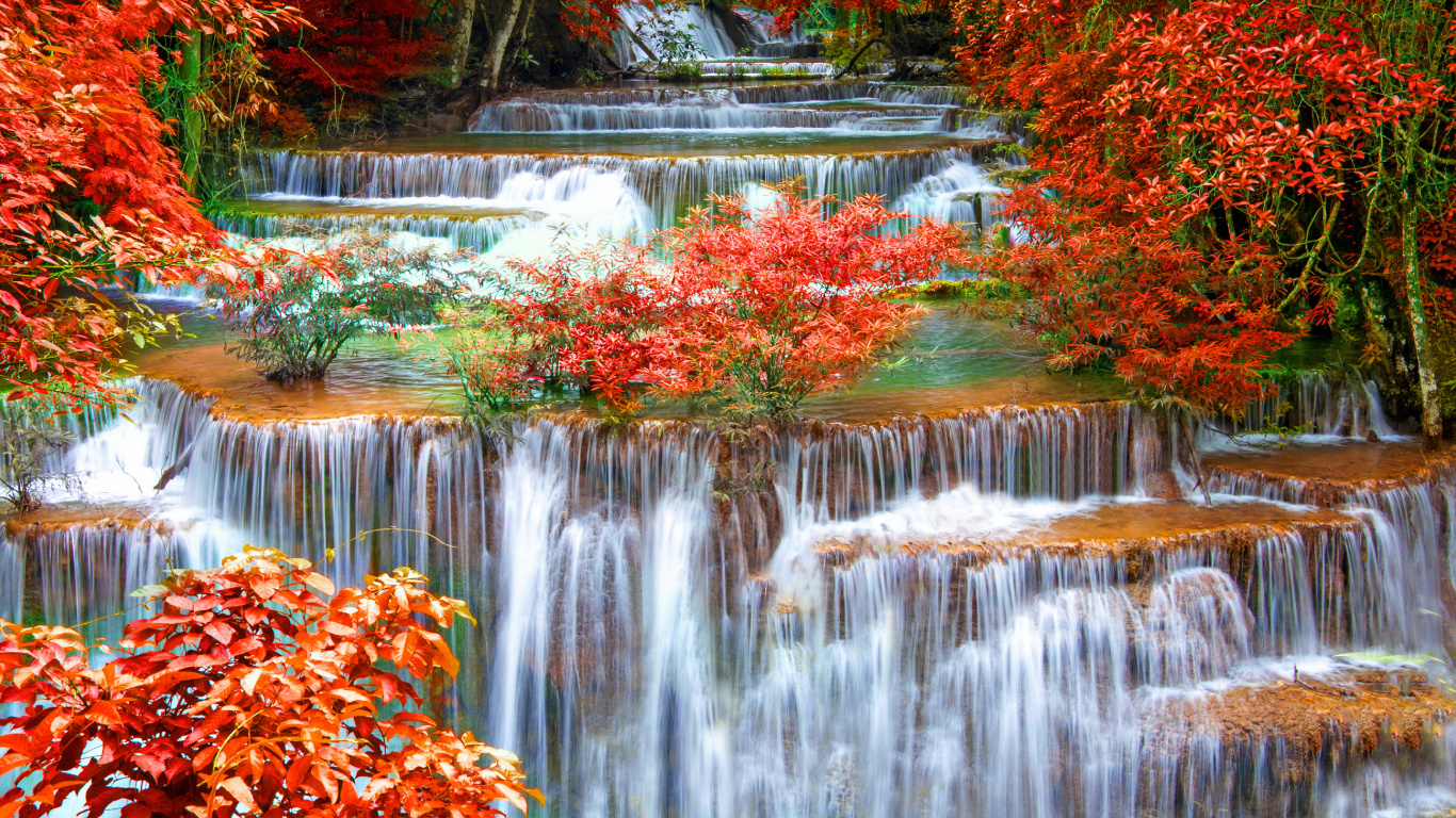 Water Falls in The Middle of Trees. Wallpaper in 1366x768 Resolution