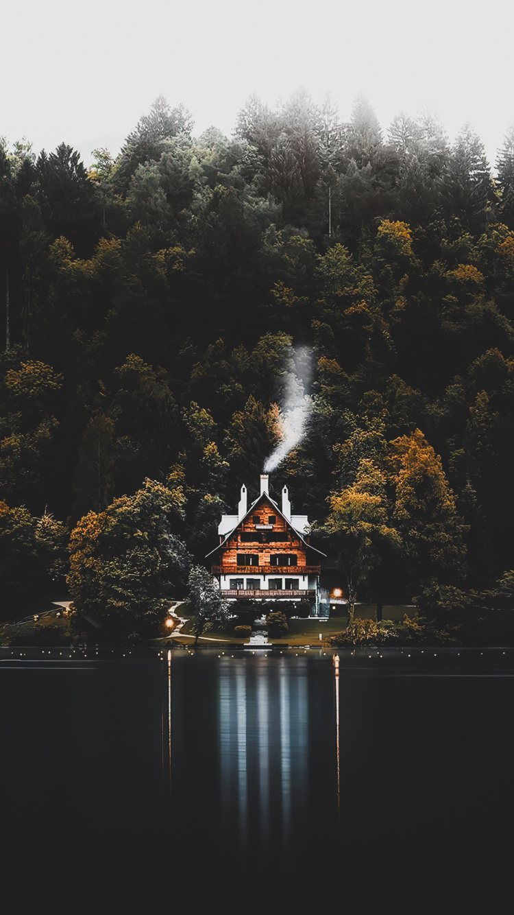 Reflexion, Blatt, Transformation, Wasser, Wasserressourcen. Wallpaper in 750x1334 Resolution