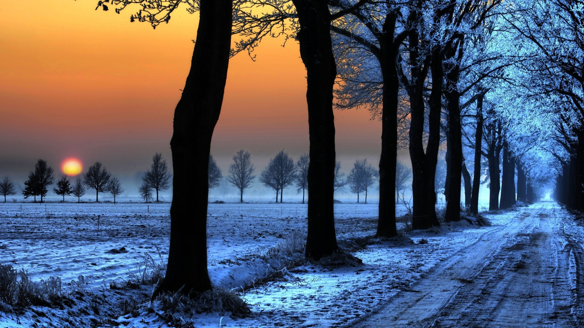 Arbres Bruns Sur le Sol Couvert de Neige Pendant le Coucher du Soleil. Wallpaper in 1920x1080 Resolution