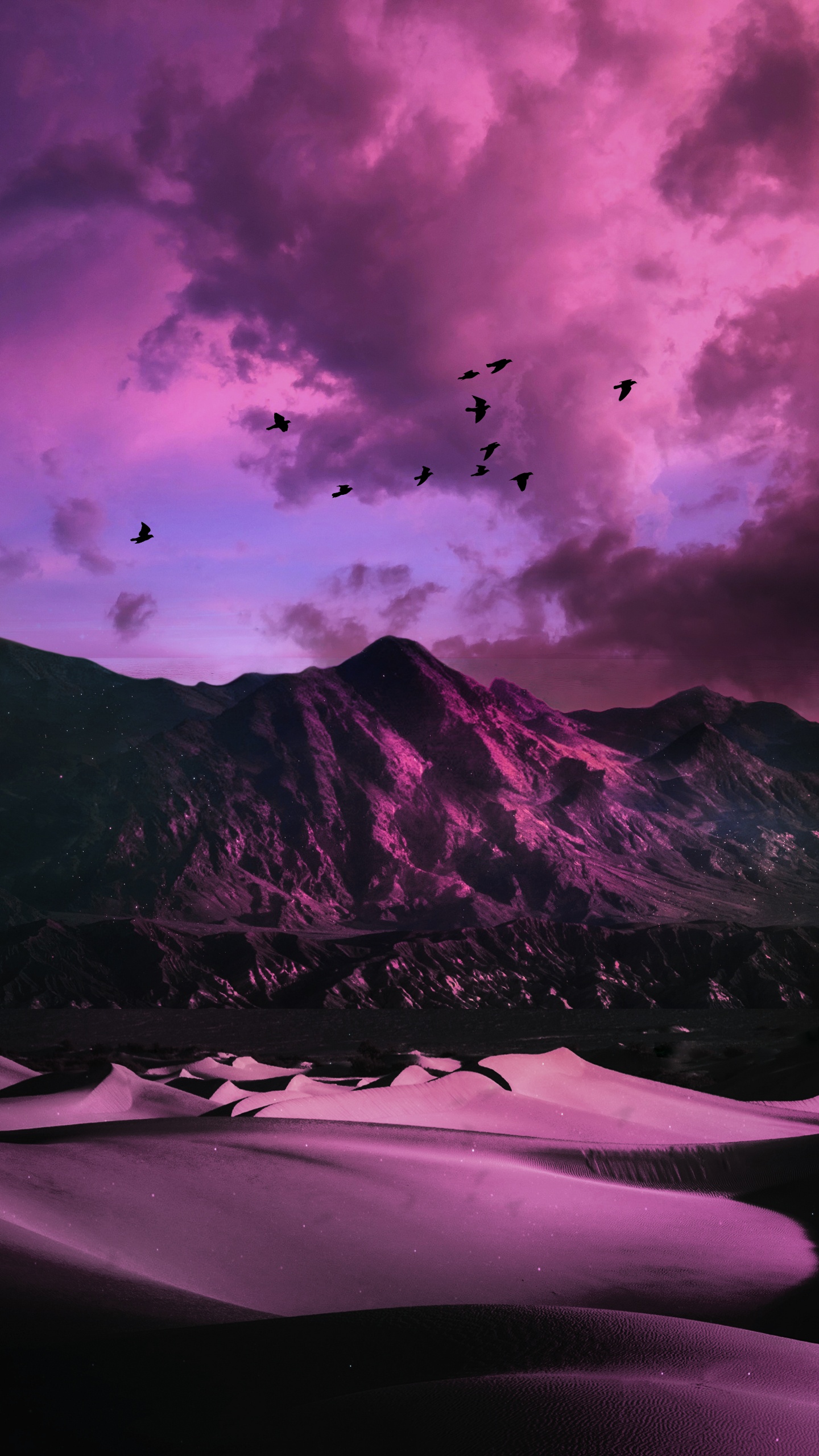 Ambiente, Montaña, Morado, Naturaleza, Ave. Wallpaper in 1440x2560 Resolution