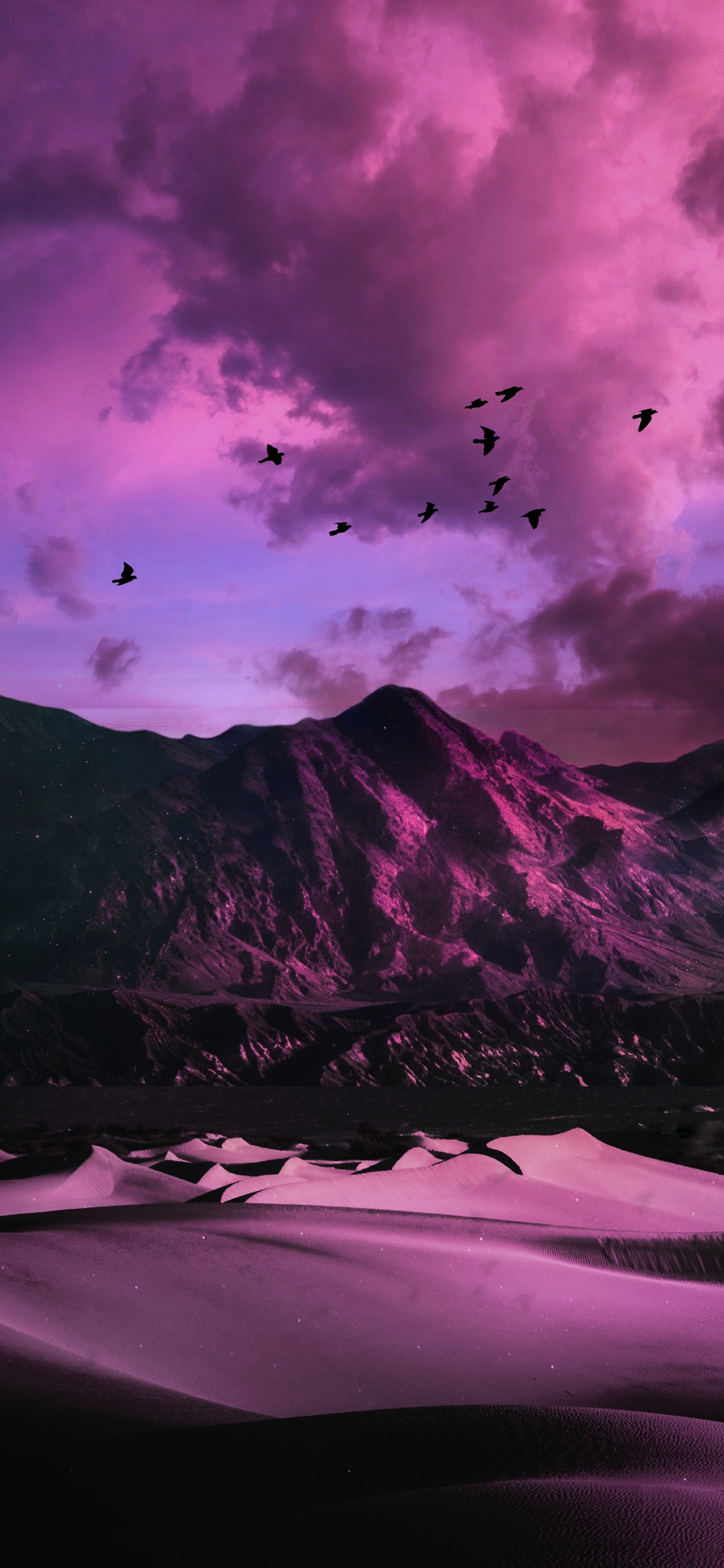 Atmosphère, Purple, Nature, Oiseau, Éclairage. Wallpaper in 1125x2436 Resolution