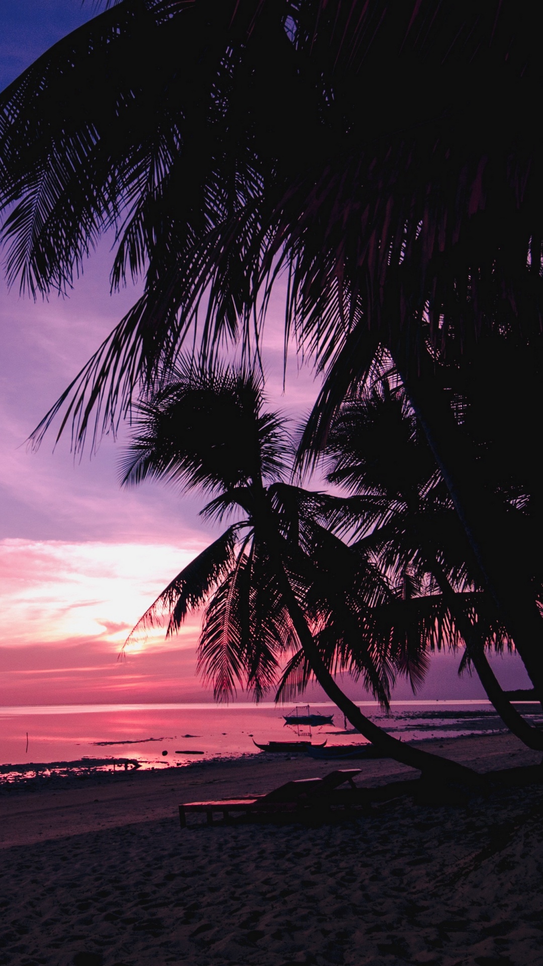 Palm Tree on Beach Shore During Sunset. Wallpaper in 1080x1920 Resolution