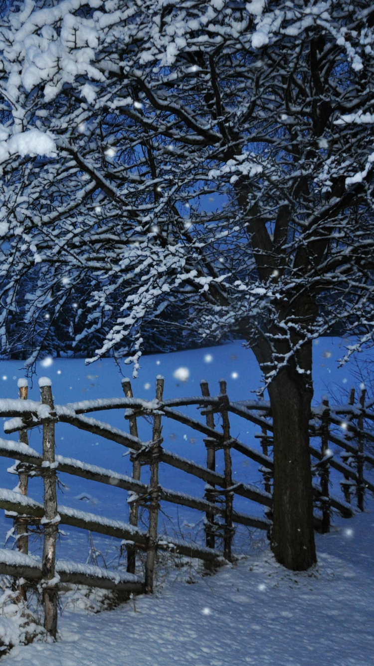 Brauner Holzzaun, Der Nachts Mit Schnee Bedeckt Ist. Wallpaper in 750x1334 Resolution